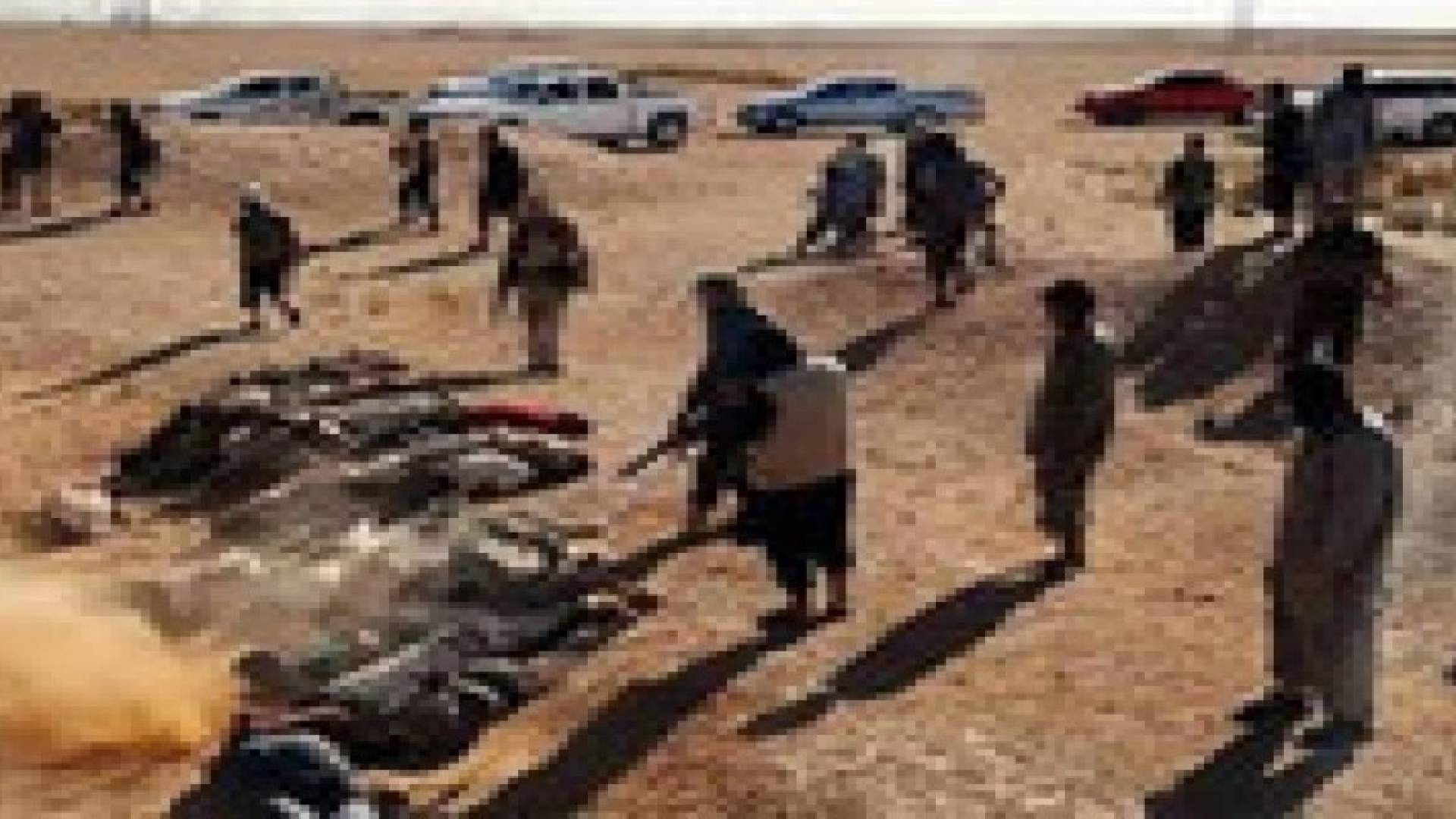 متشددو  داعش يقتلون 16 من أفراد عشيرة البونمر بالعراق