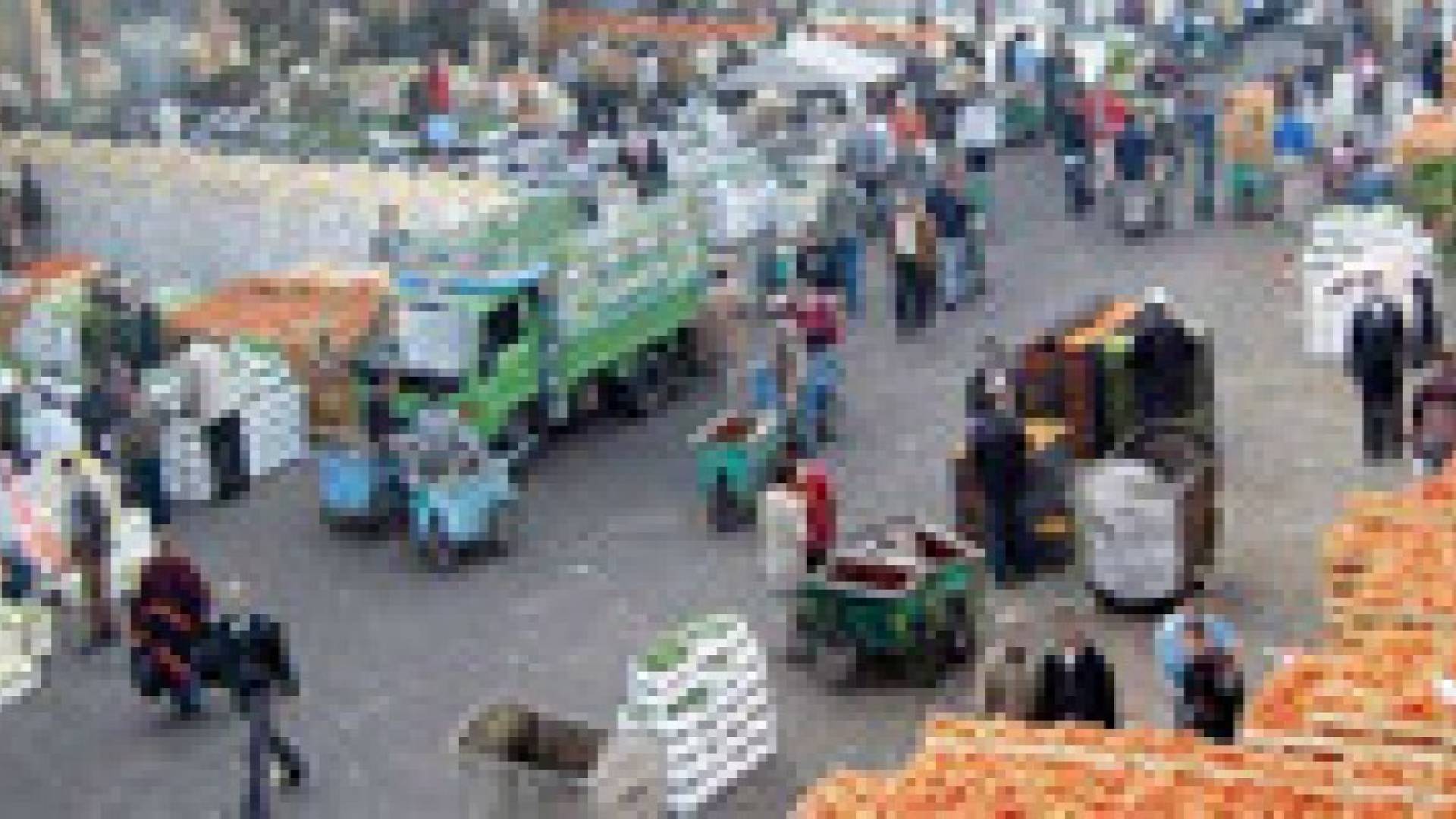 وفد مصري يزور السوق المركزي ويشيد بالتنظيم وآلية العمل