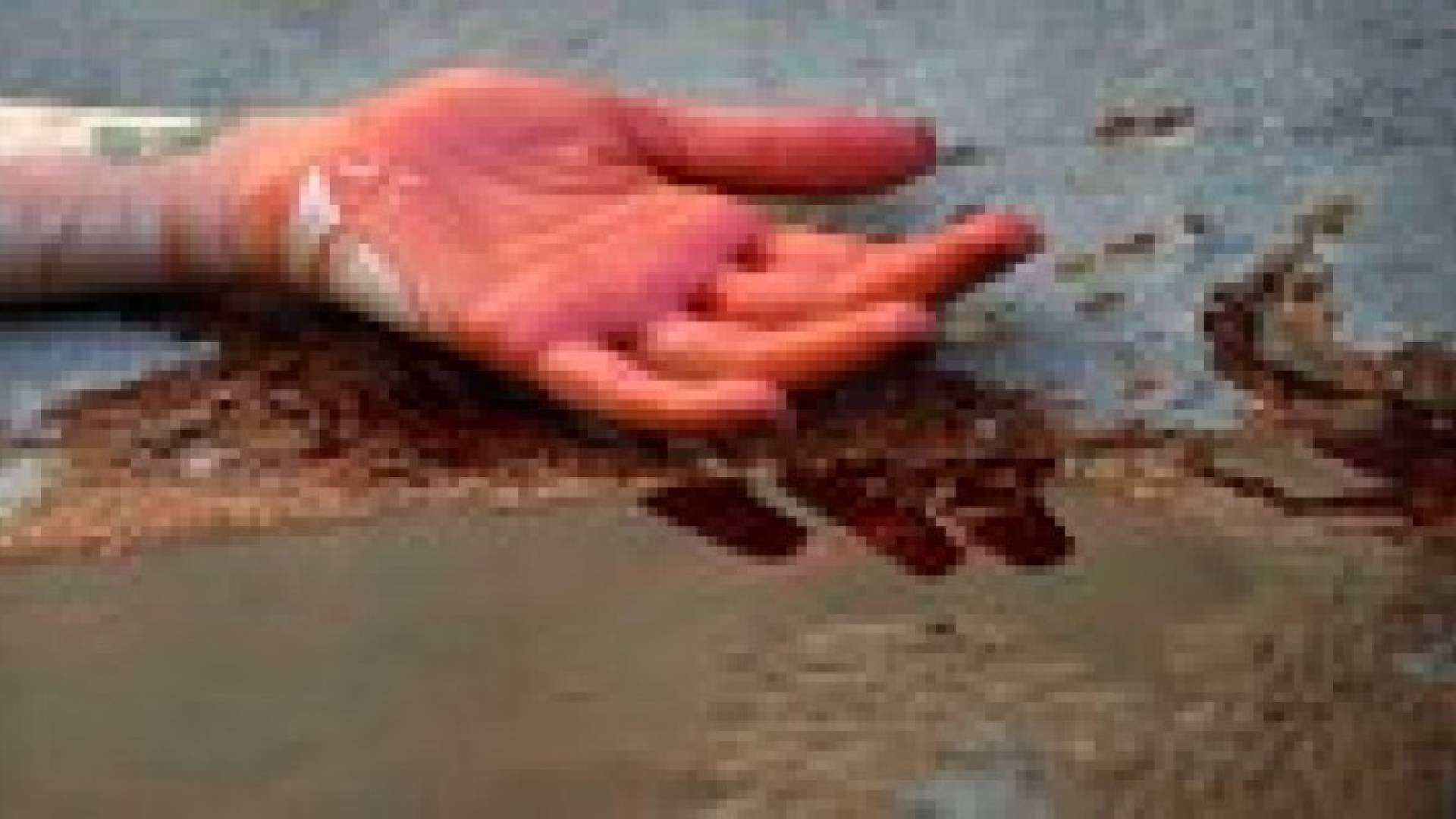 لوحة دموية لاحتجاج نشطاء حقوق الحيوان في إسبانيا