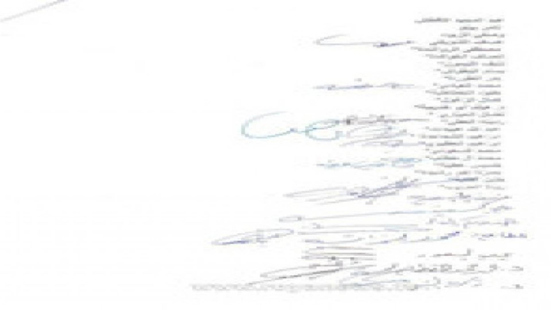ثلاثين نائب يتحركون لحل مشكلة ميناء الحاويات في العقبة