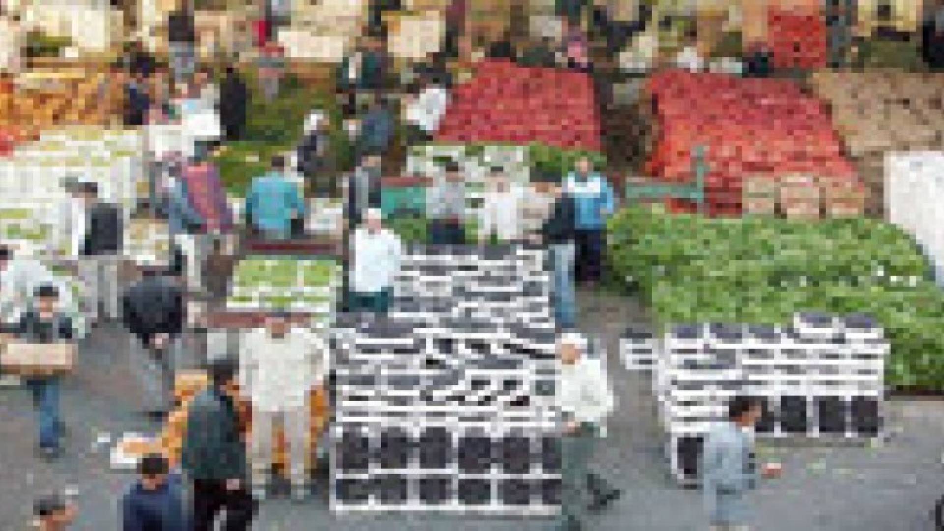 ارتفاع أسعار المنتجين الزراعيين 5.3% في اول 10 شهور