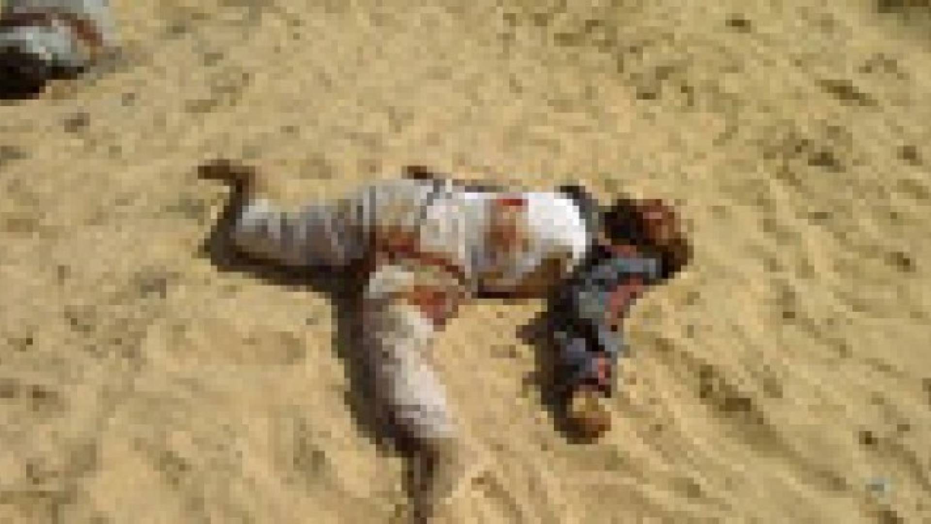 الجيش المصري يعلن مقتل 16 "متشددا" وضبط 4 آخرين في سيناء
