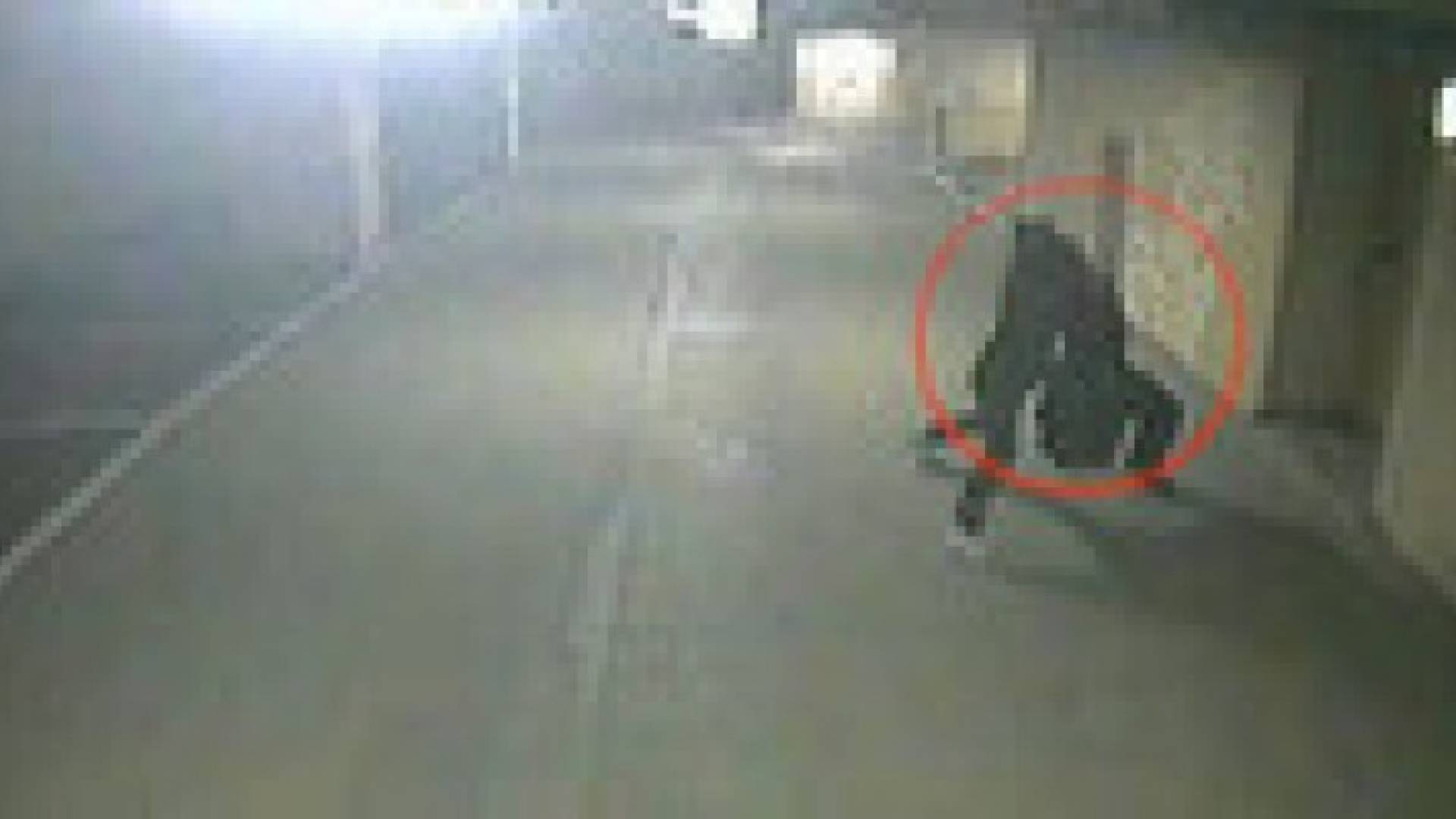 محاولة اختطاف تتحول إلى زفة .. فيديو