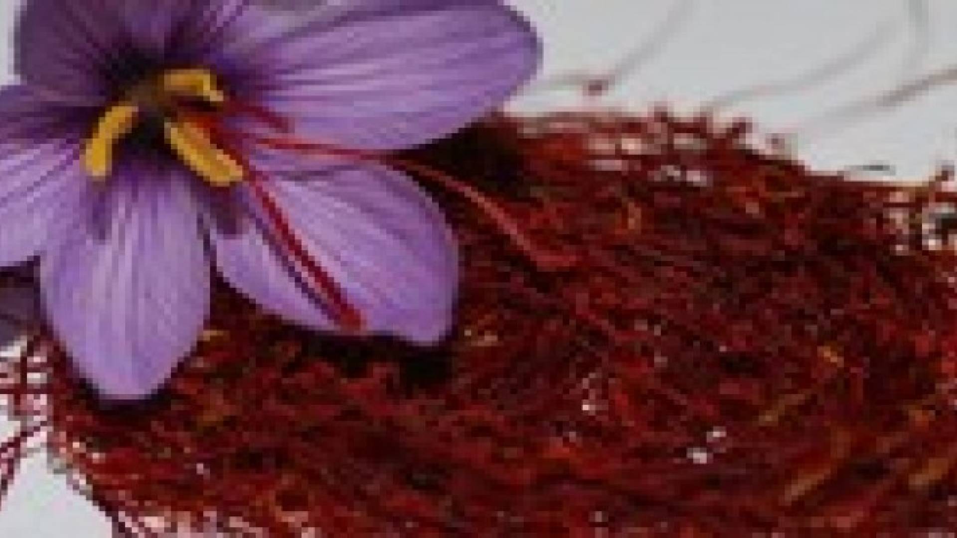 الزعفران سلاحك لطرد السموم من الجسم