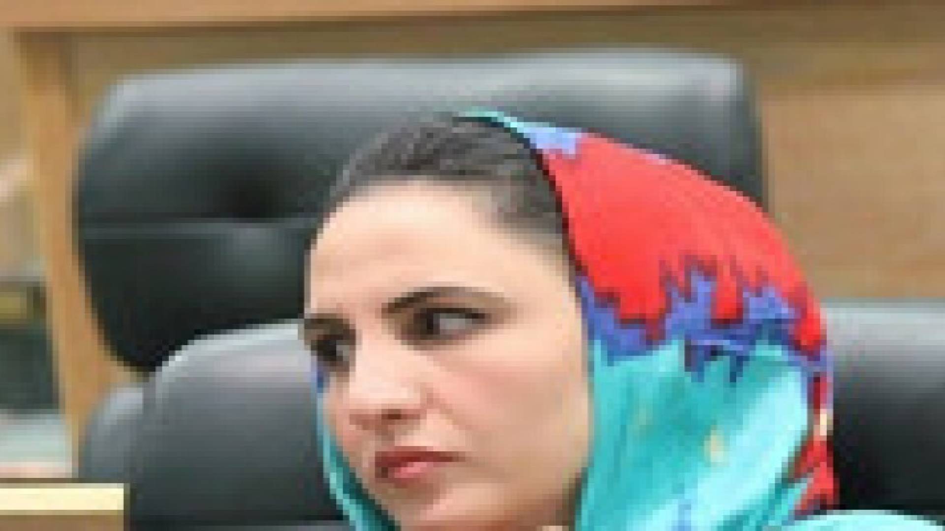 الخطاطبة تقدم استقالتها من كتلة وطن النيابية