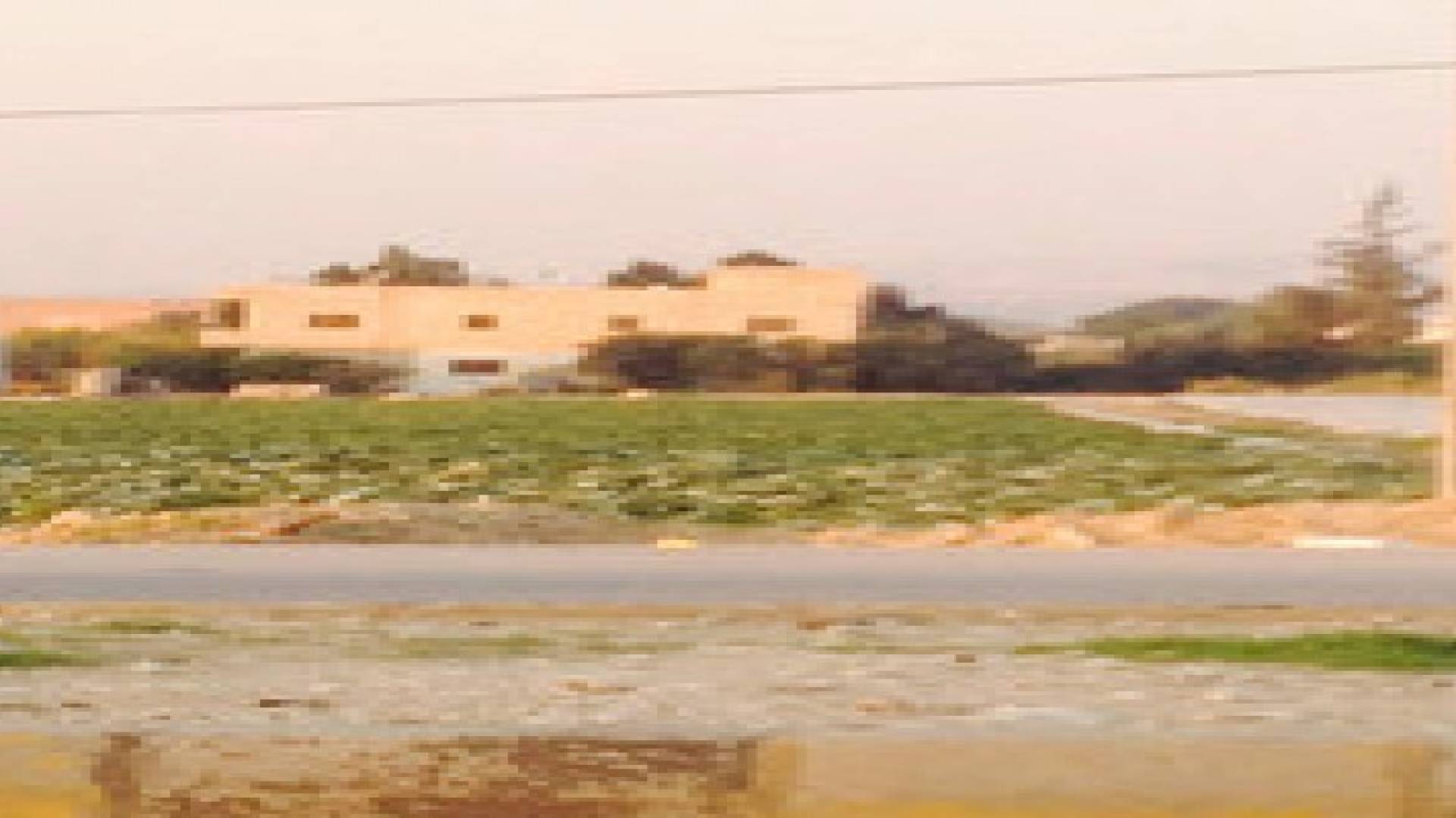 10 الاف دونم بطاطا في وادي الاردن