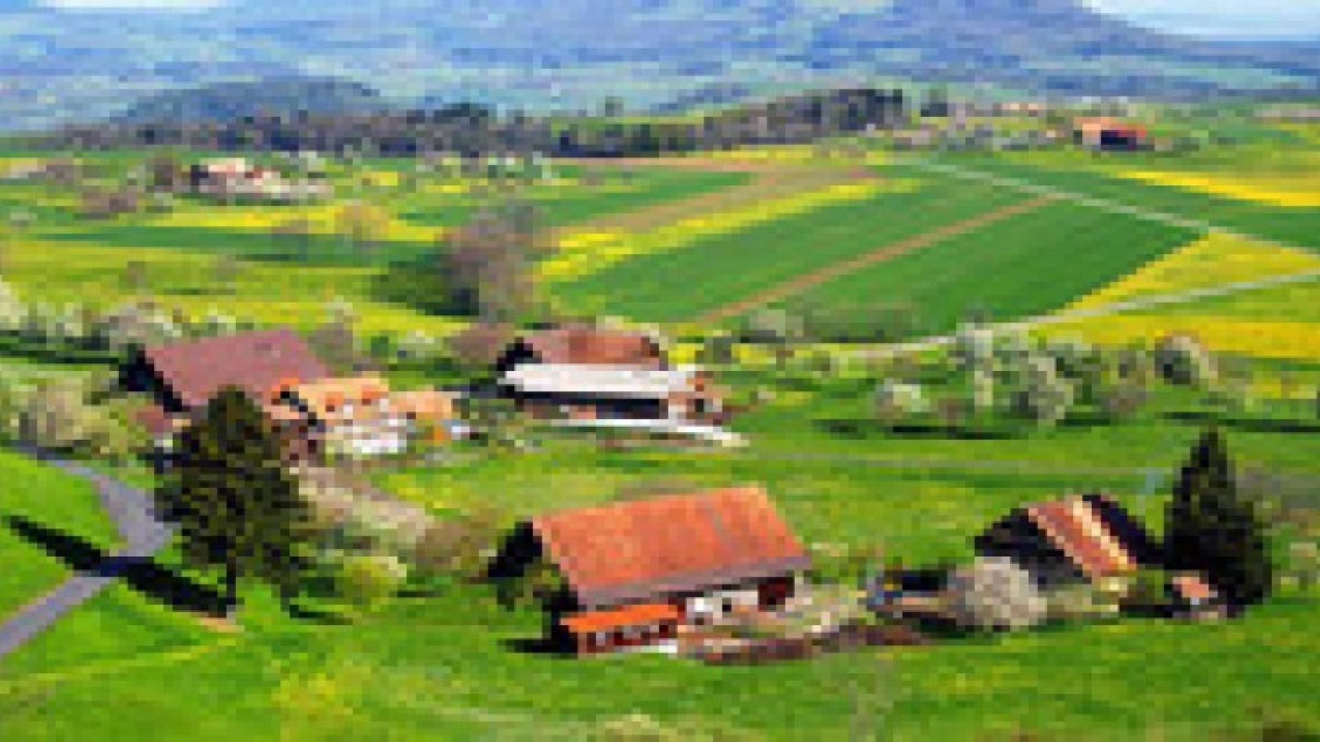 منح دراسية نيوزيلندية لاردنيين سنويا