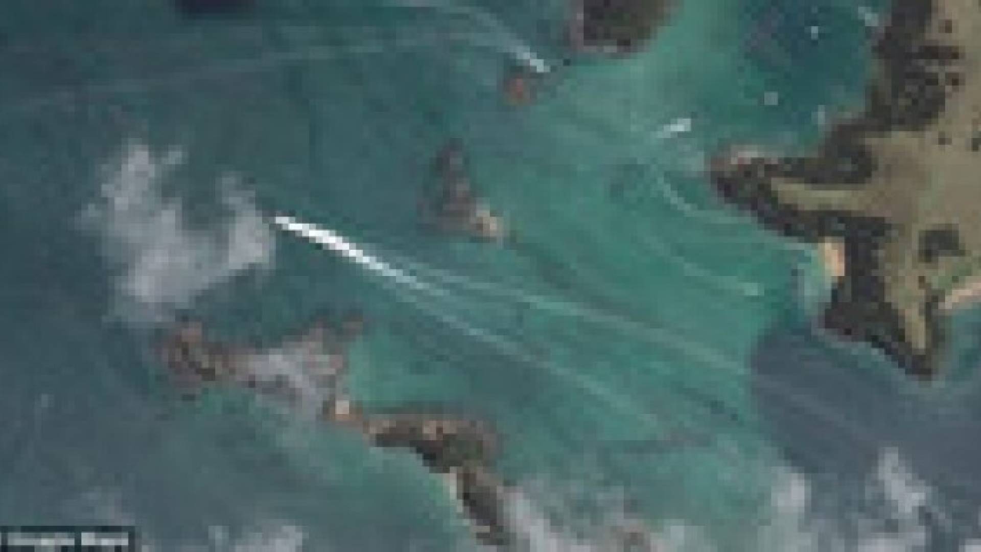 خرائط جوجل تكشف عن مخلوق بحري عملاق في نيوزيلندا