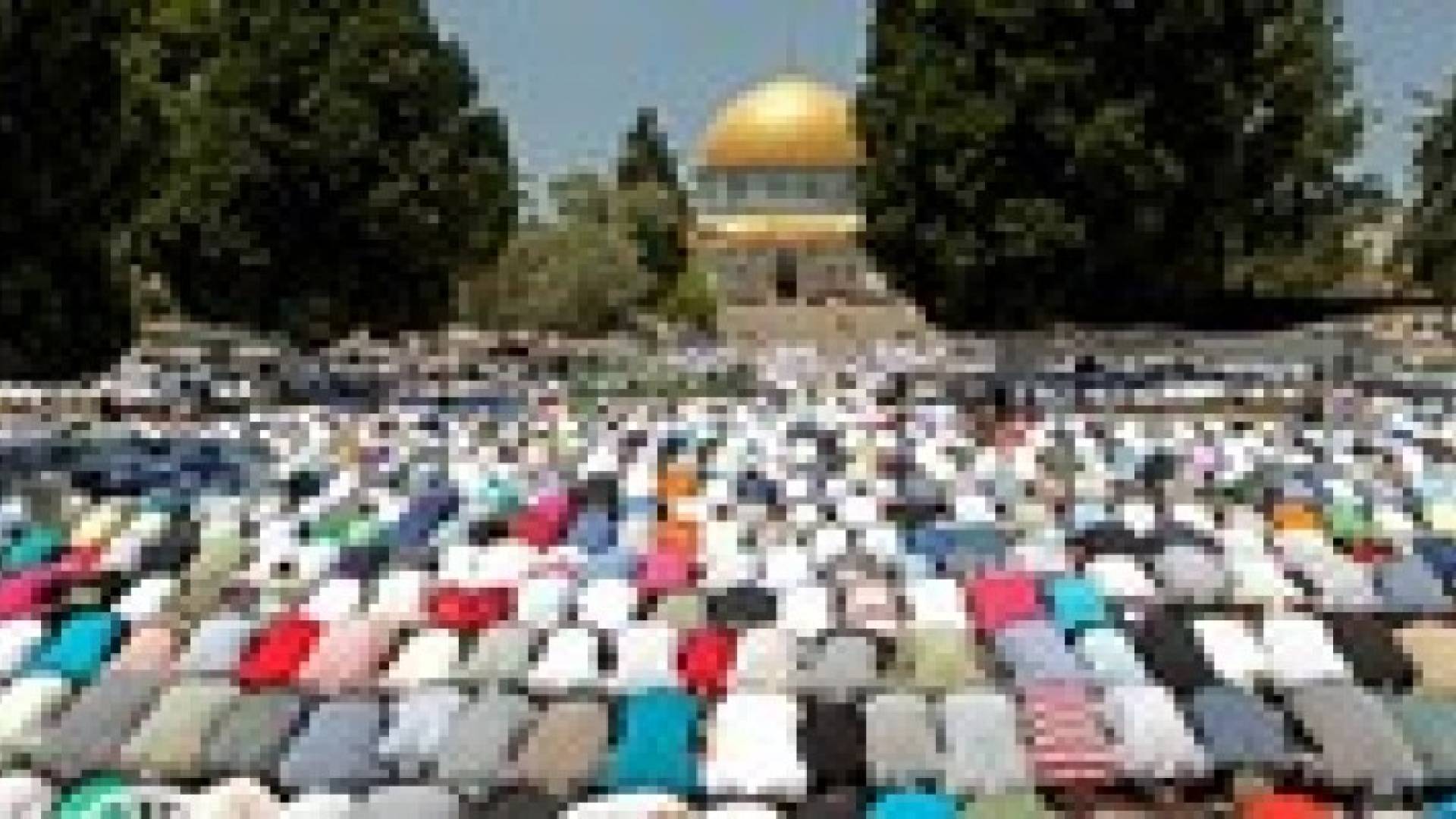 اكثر من 50 الف مصل يؤدون صلاة الجمعة في الاقصى