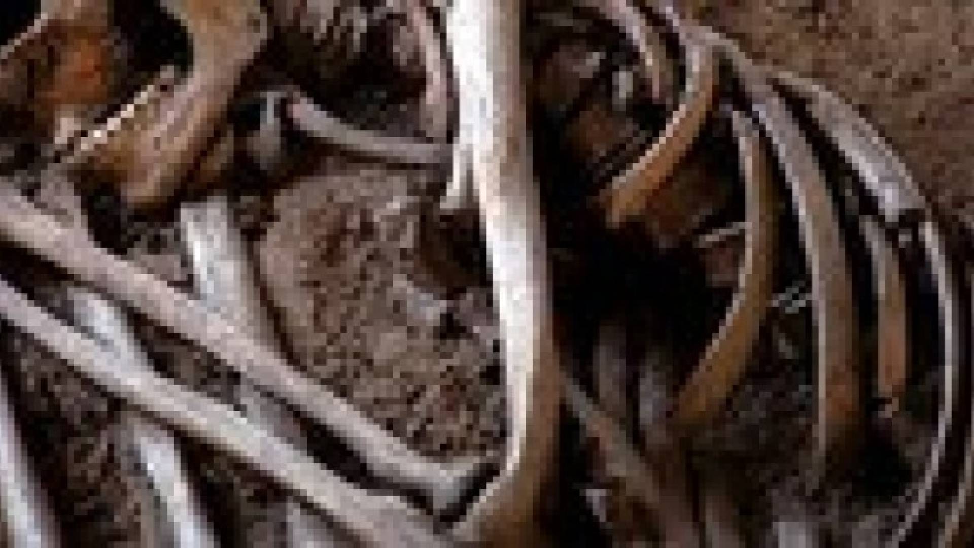 فريق من النشطاء الأمريكيين يسعى إلى تحويل جثث الموتى إلى سماد