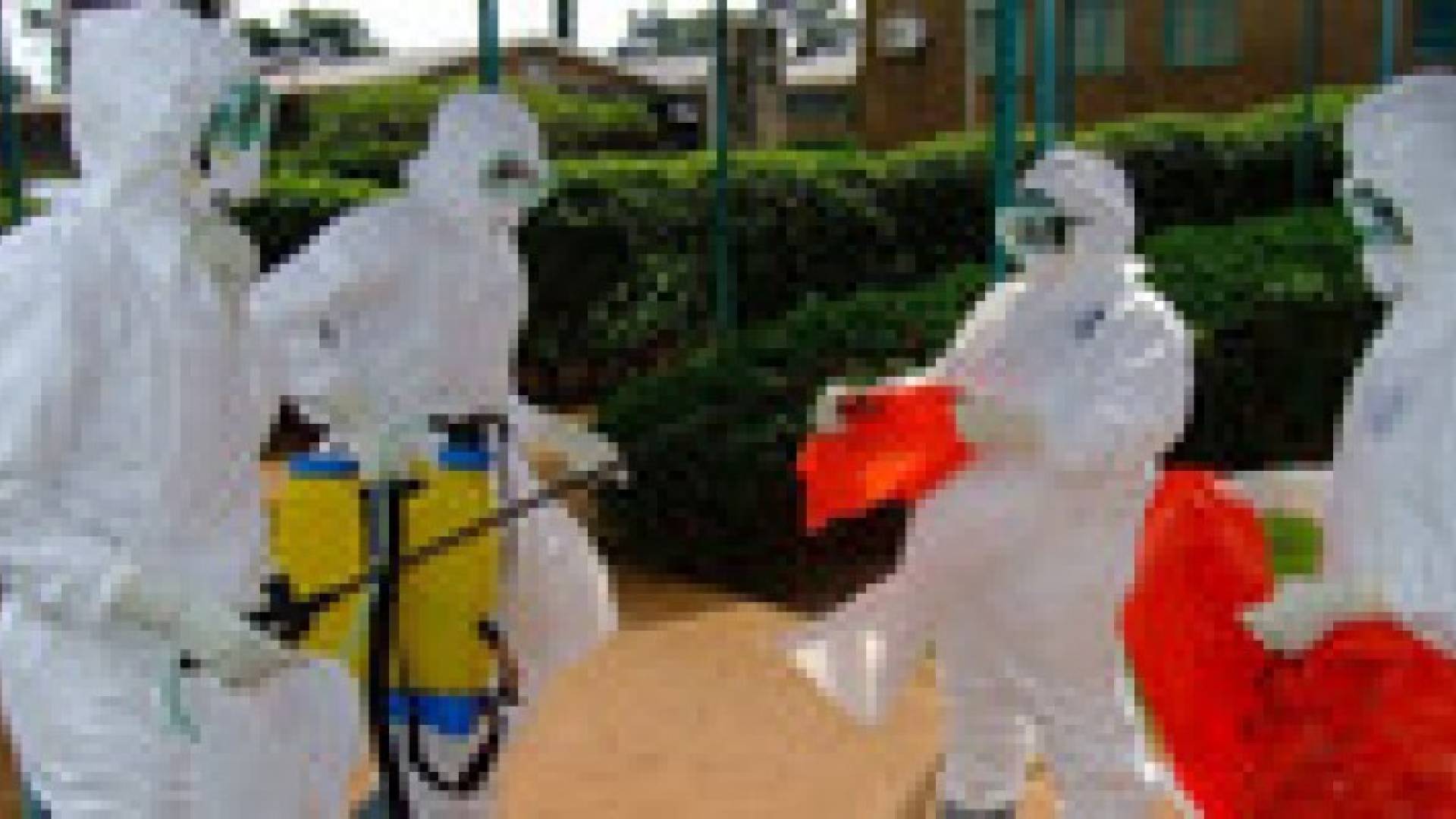 نتائج مبشرة لتجارب لقاح إيبولا