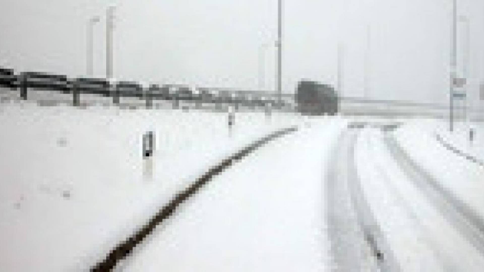 لا ثلوج حتى نهاية العام وموجة باردة متوقعة بدايات العام الجديد