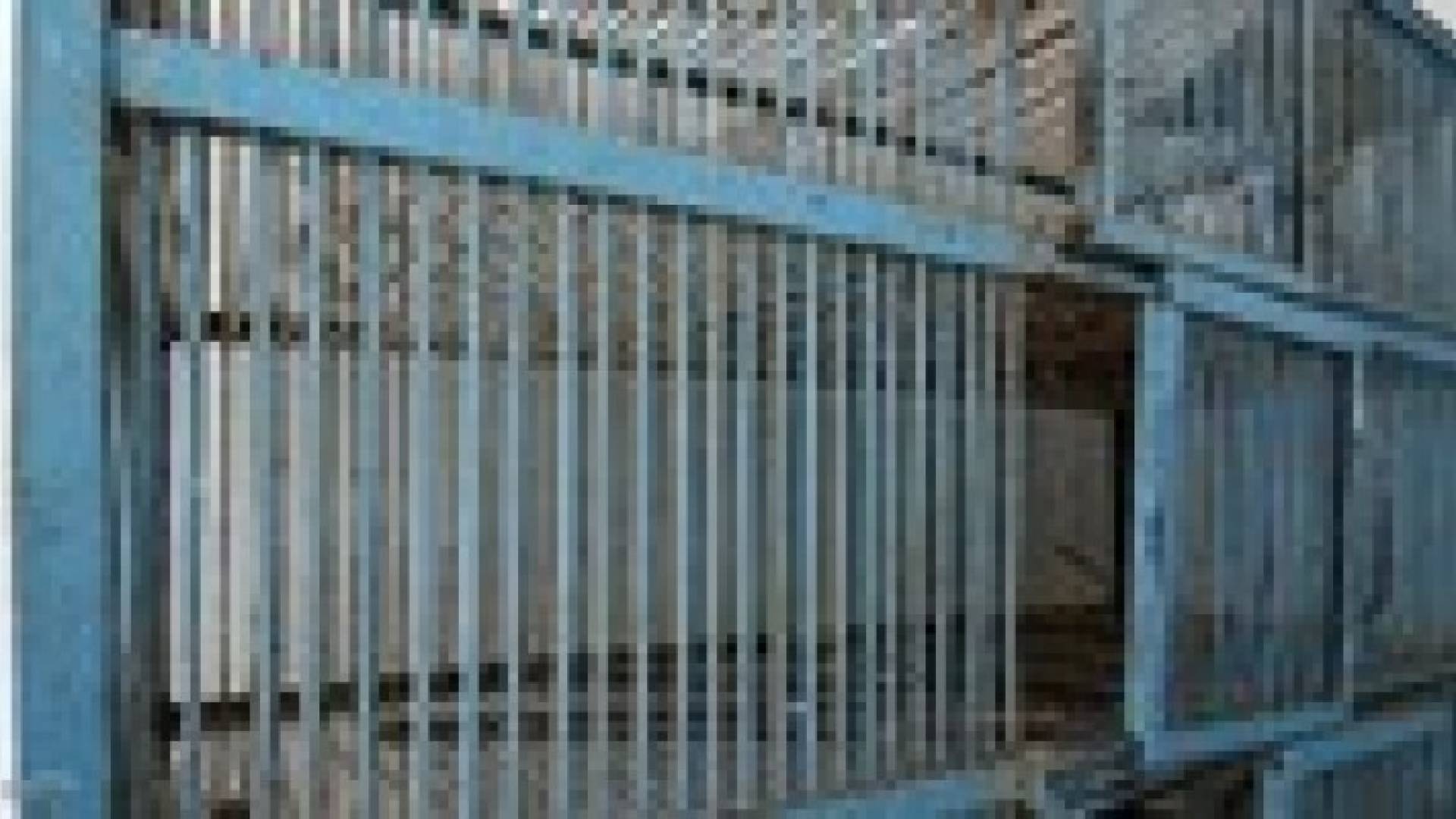 عاشر حالة وفاة بإنفلونزا الطيور في مصر