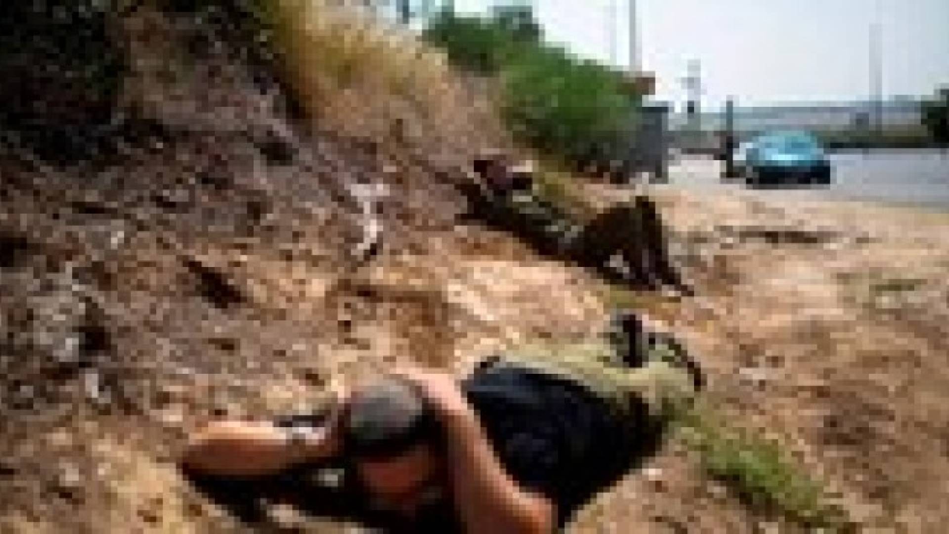 إطلاق صافرات الإنذار بالخطأ جنوب فلسطين المحتلة