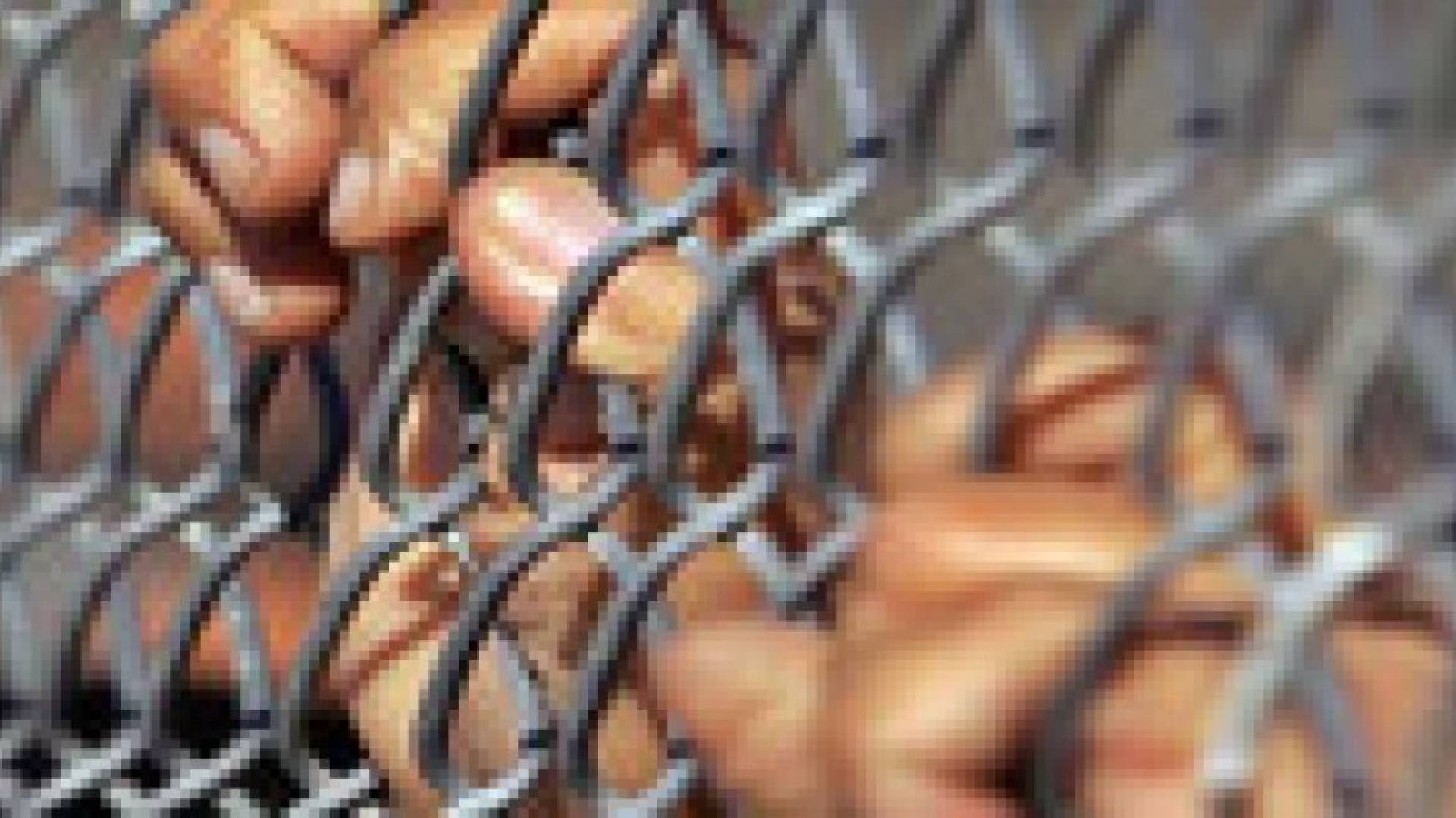 تنفيذ 449 حكما بالإعدام والمؤبد بالعراق خلال 2014