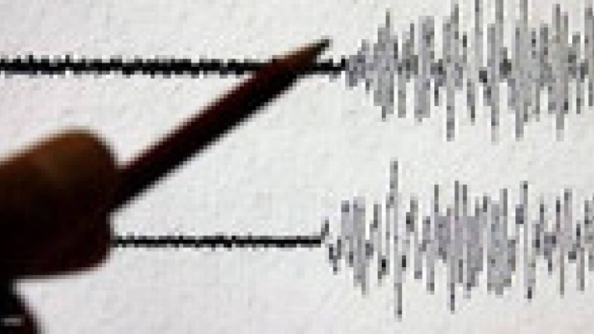 زلزال بقوة 5.3 يضرب "بوشهر" الإيرانية