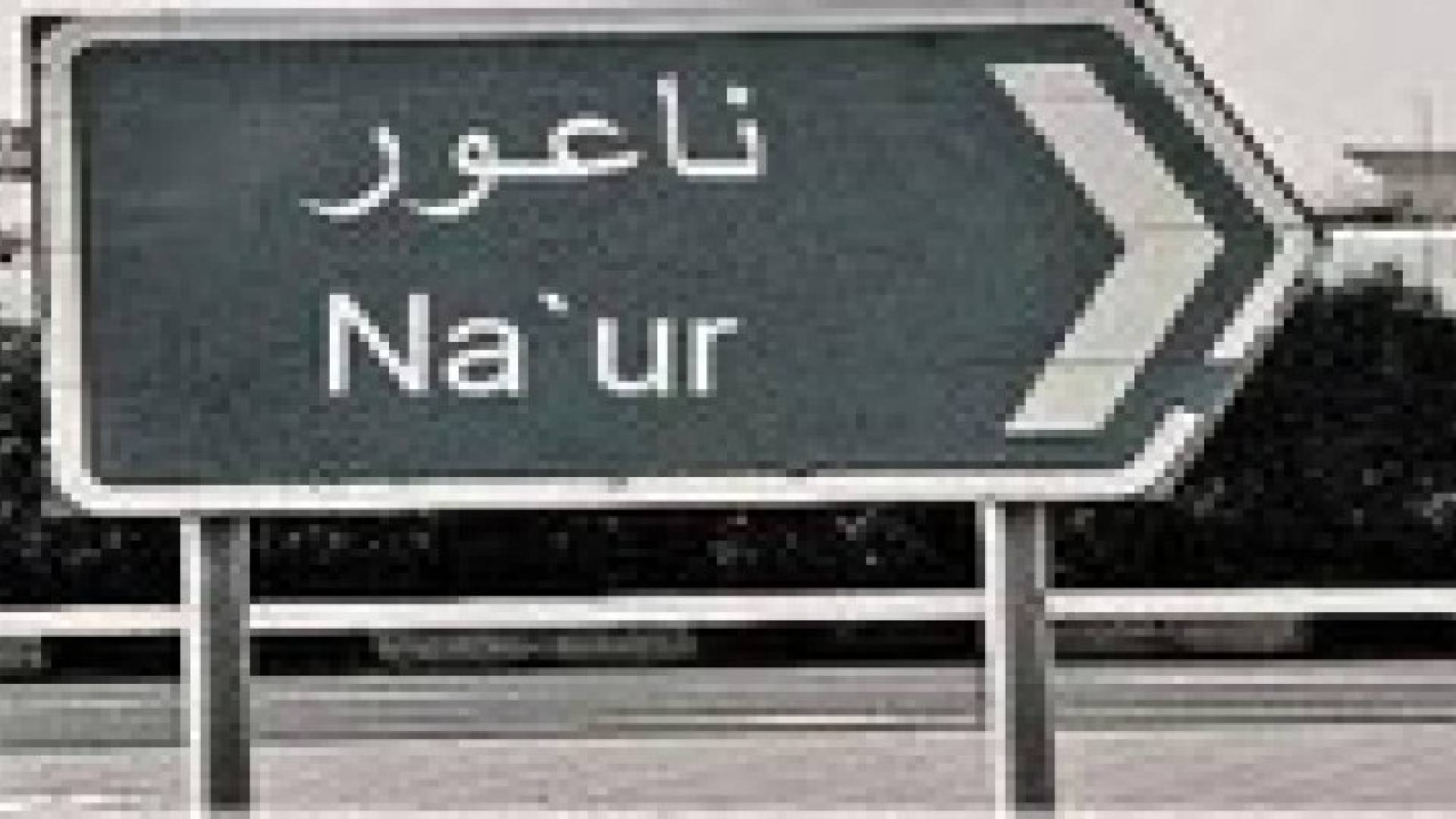 اطلاق خدمة الكترونية خدماتية في بلدية ناعور