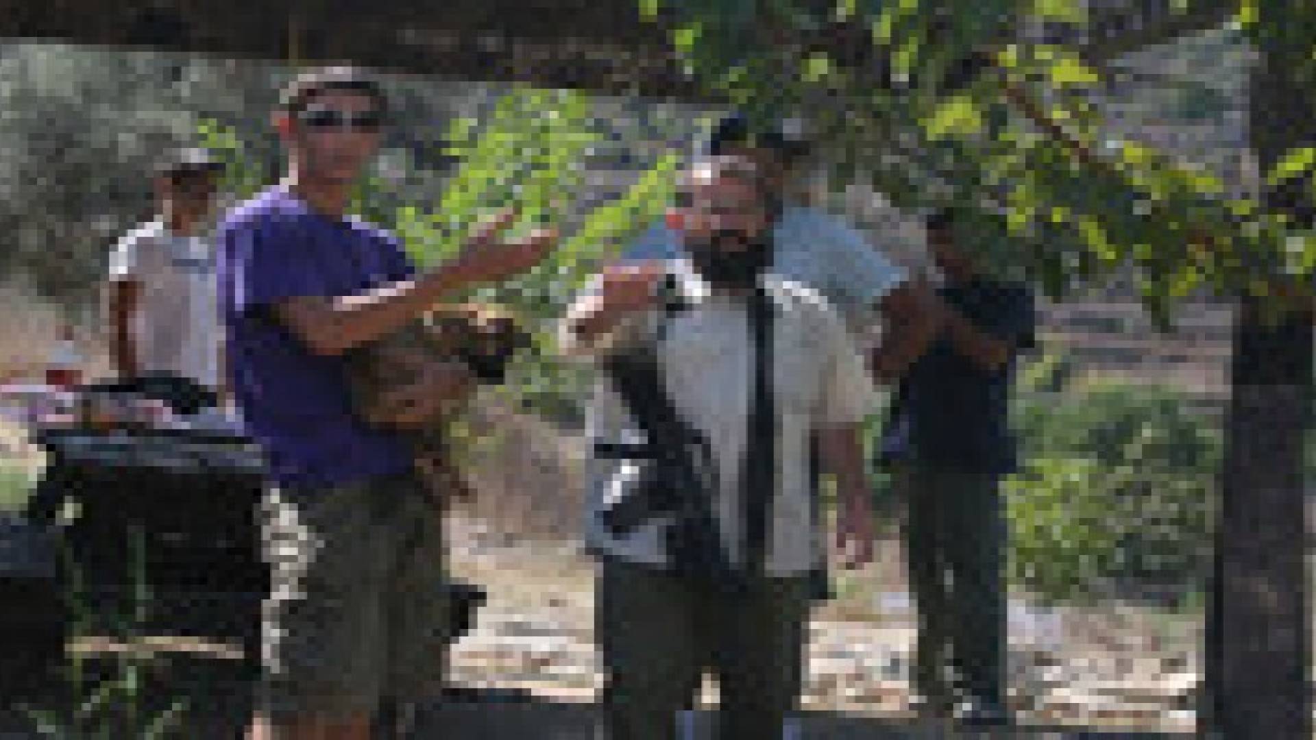 مستوطنون متطرفون يصعدون اعتداءاتهم على الفلسطينيين بالضفة الغربية
