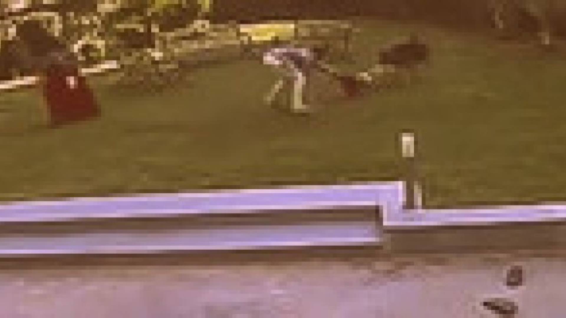بالفيديو.. شاهد كيف انقض كلب على طفلة السنتين