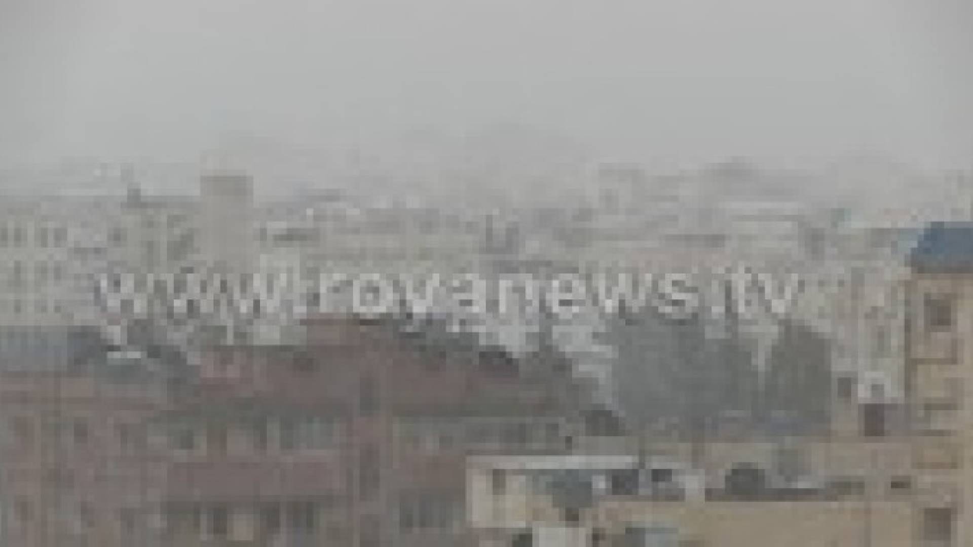 أمطار الخير تتساقط في إربد.. صور