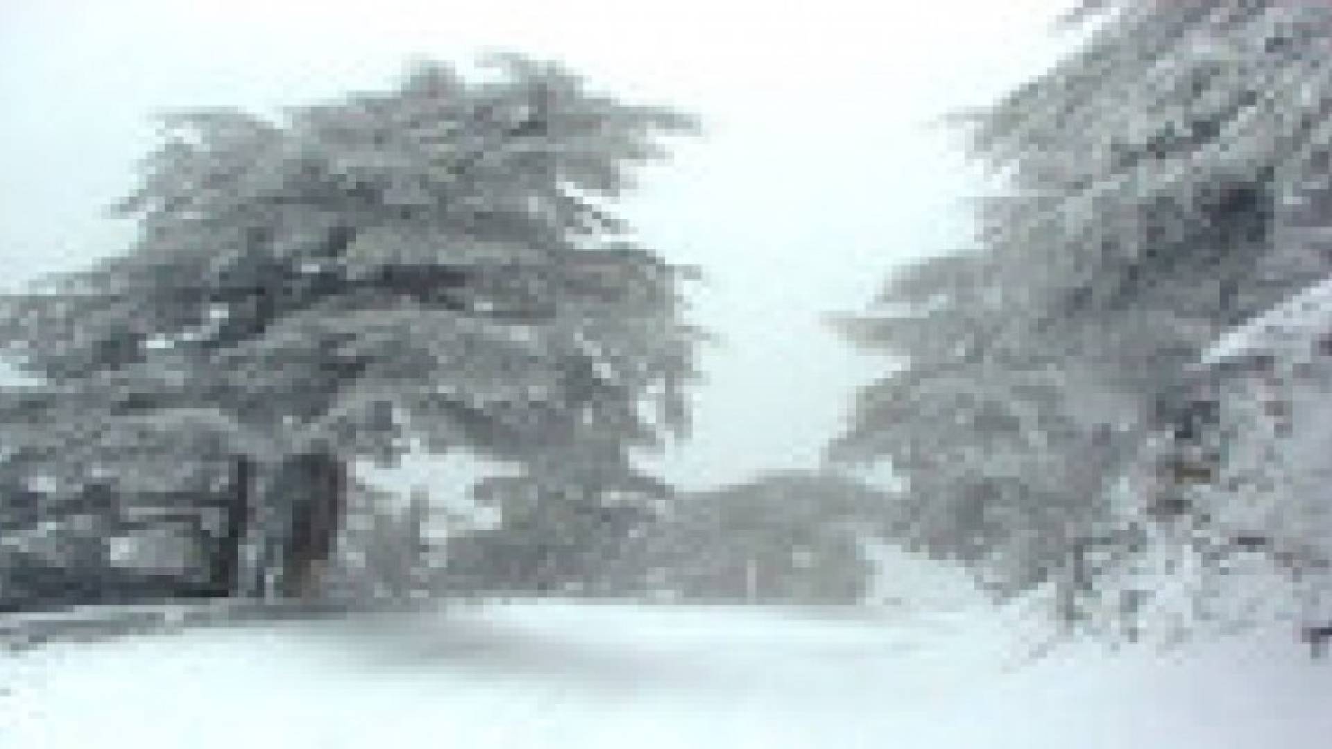الشاكر: الثلوج ستعم معظم مناطق المملكة الأربعاء والخميس.. فيديو