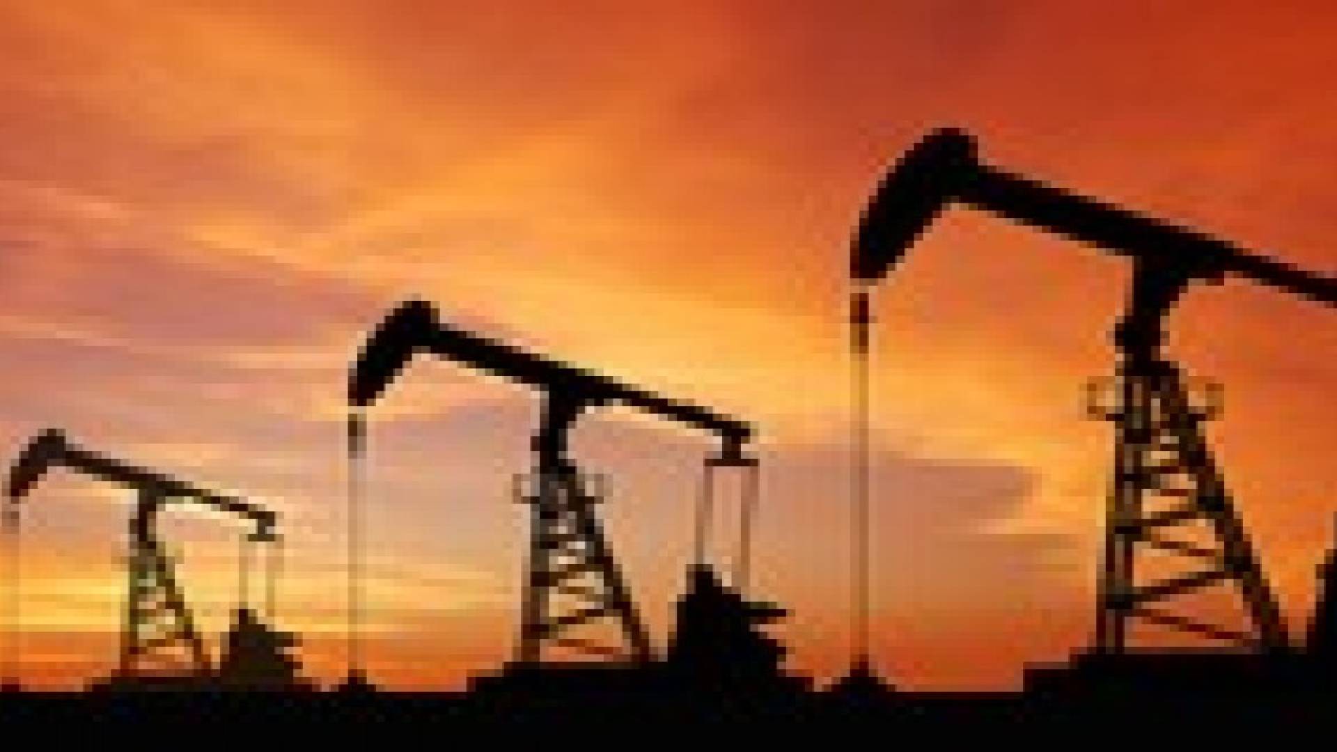 55.2 دولار سعر برميل النفط