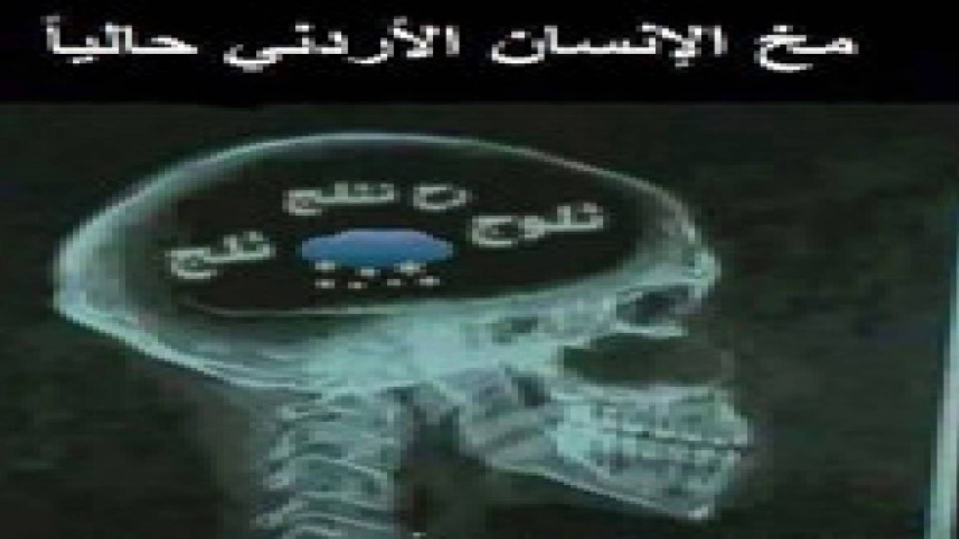 "هدى" تشعل مواقع التواصل الاجتماعي