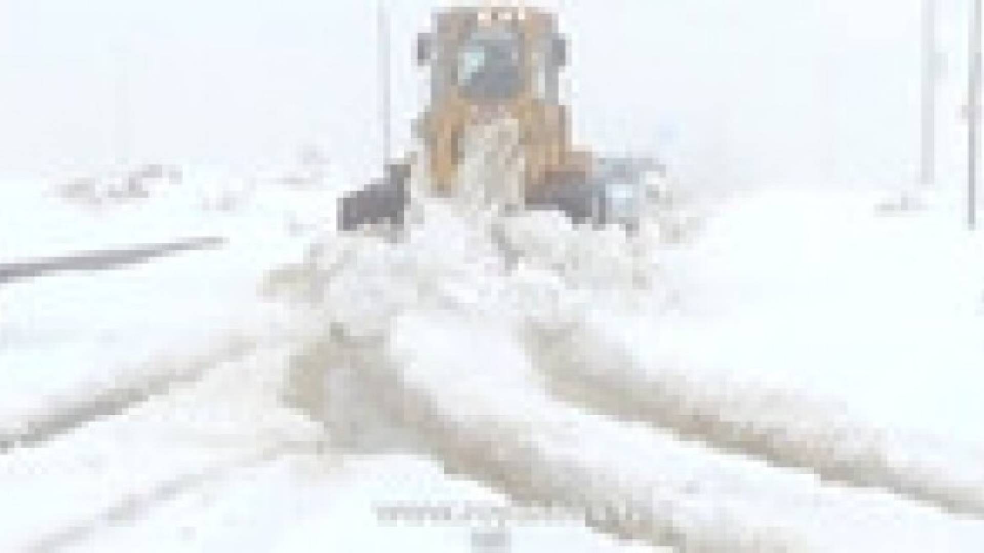 العاصفة "هدى" .. بيان رقم 8