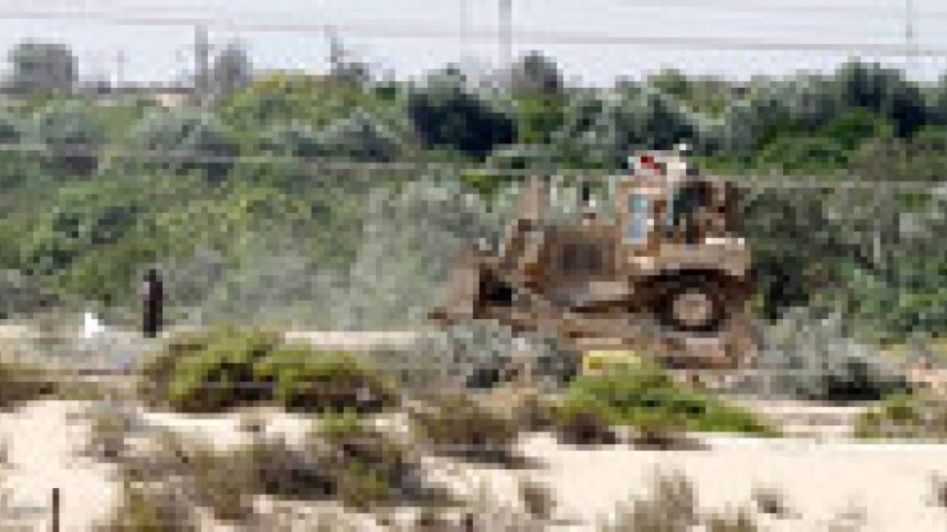 مقتل قيادي من "أنصار بيت المقدس" بسيناء