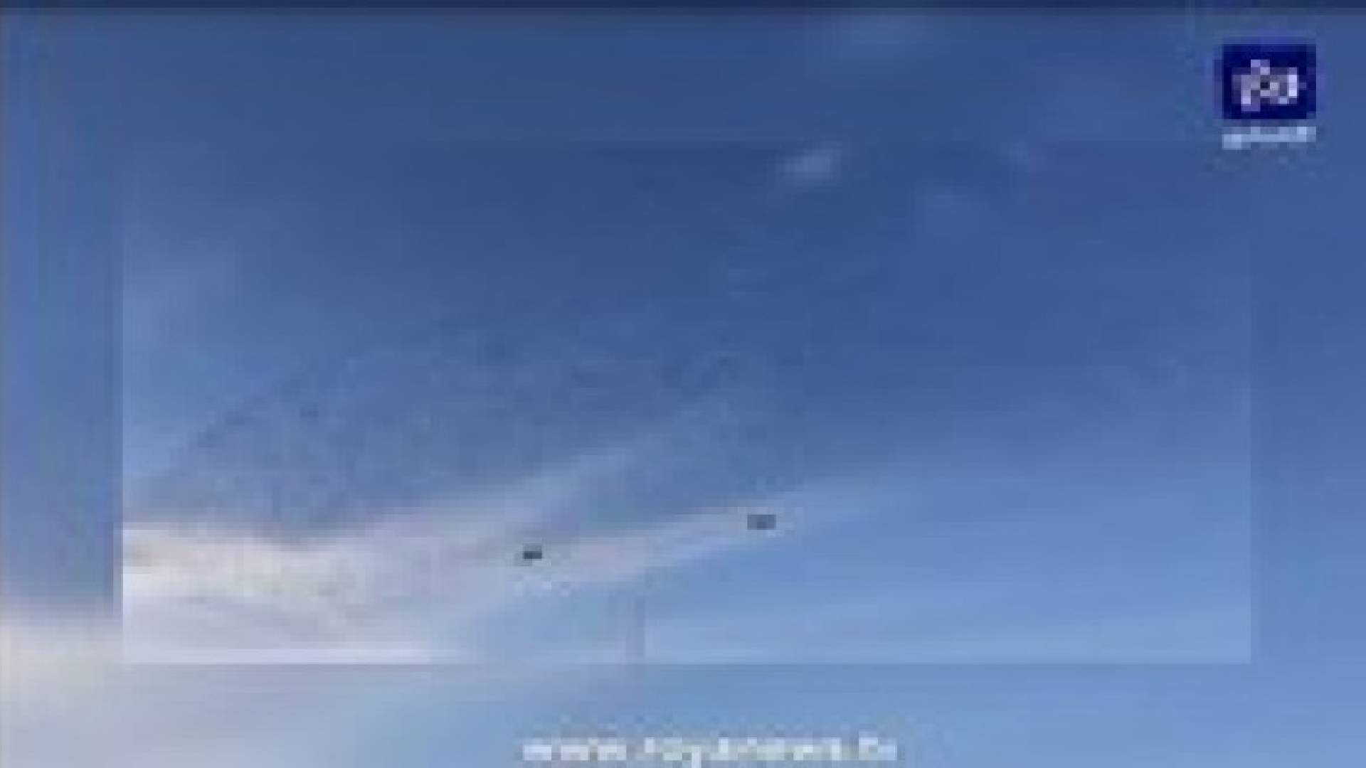 فيديو.. سرب من الطيور يتشكل برسومات جميلة في طريق البحر الميت