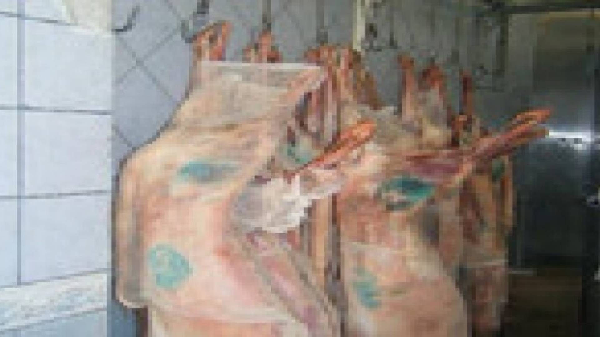 إغلاق ملحمتين في صافوط لمخالفتهما قانوني الصحة والزراعة