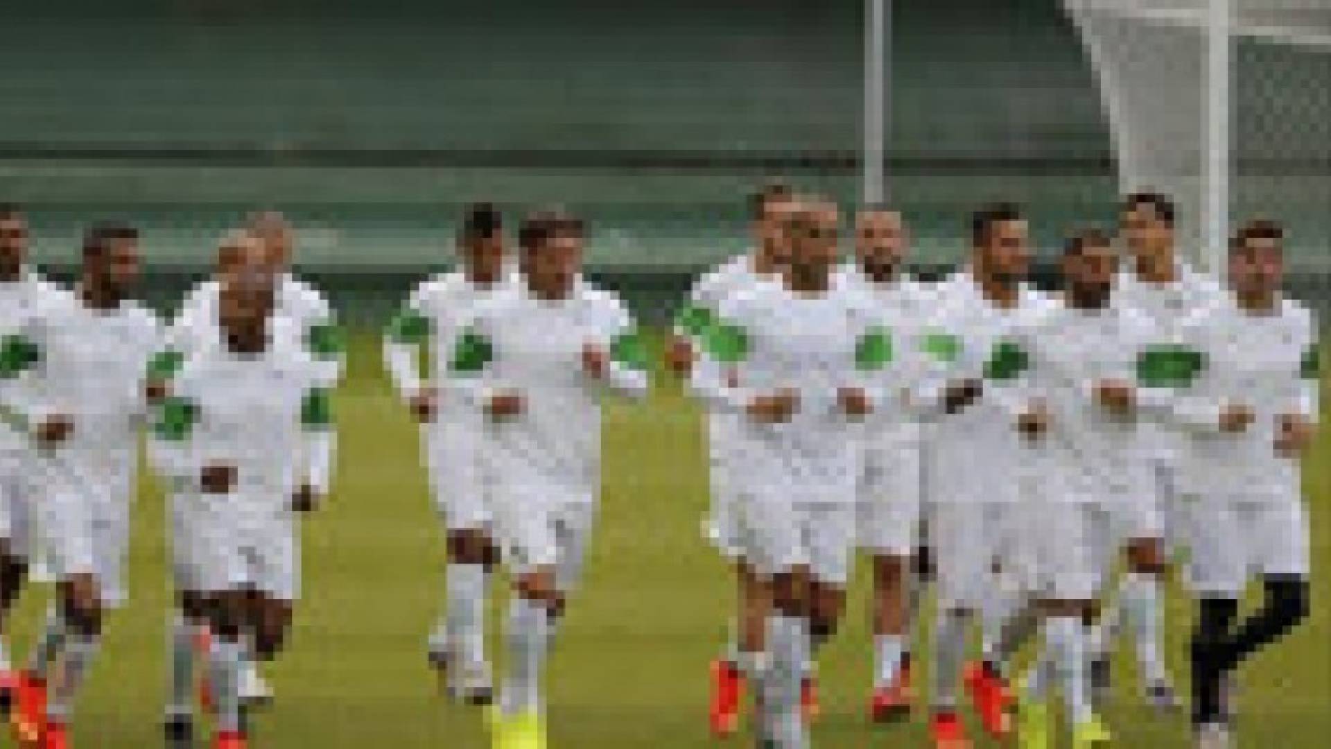 الجزائر تخطف الأضواء في بداية مشوارها بكأس الأمم الافريقية