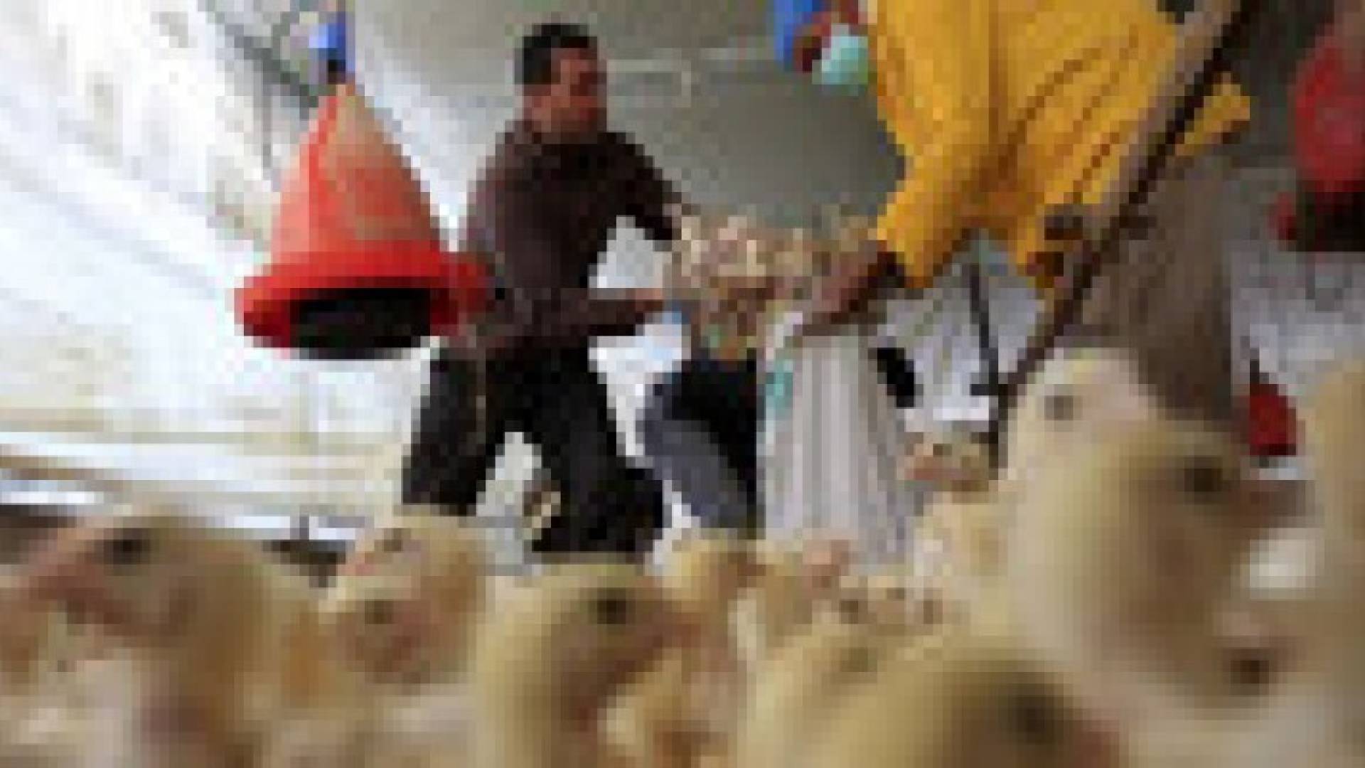 تاسع حالة وفاة بإنفلونزا الطيور بمصر في أقل من شهر