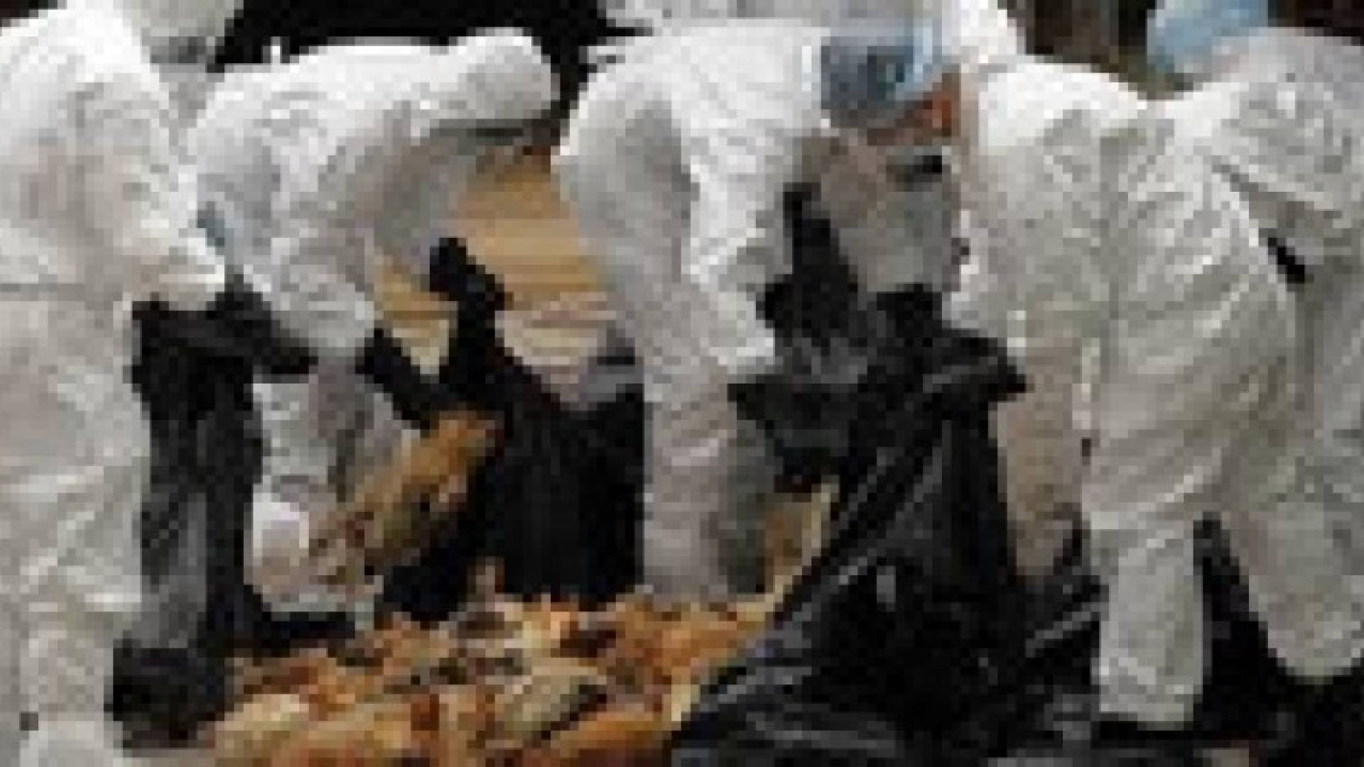 إعدام 20 ألف دجاجة في إسرائيل بعد اكتشاف حالات انفلونزا طيور