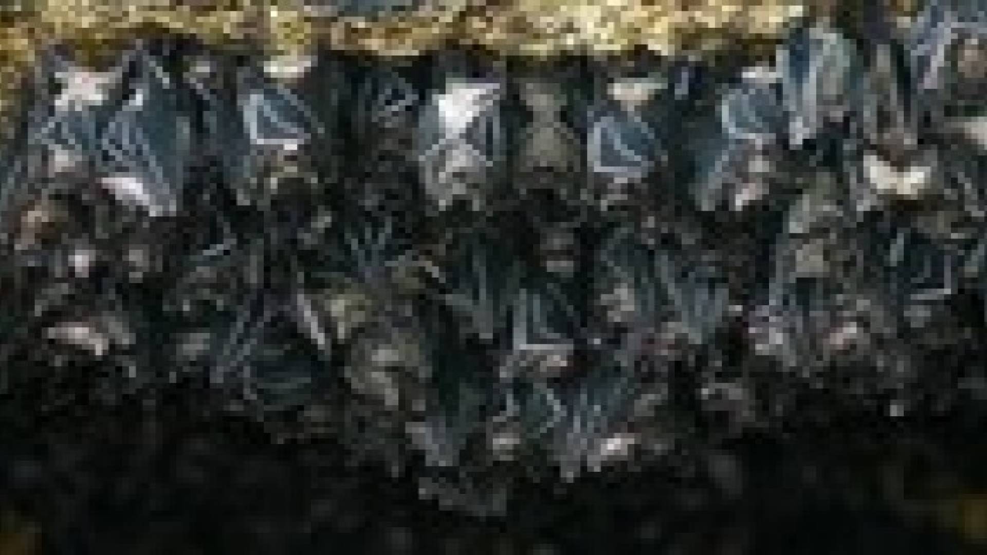 اكتشاف 16 فيروسا جديدا بالخفافيش يمكن أن تنتقل للبشر