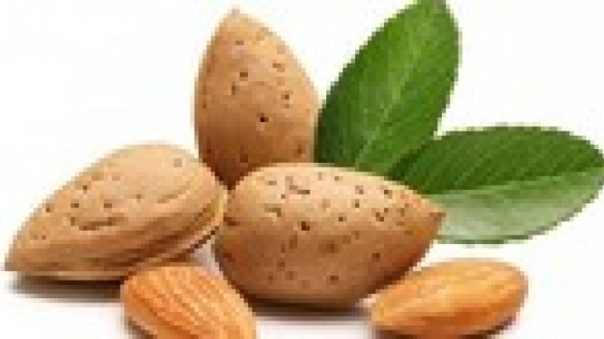 تناول اللوز يوميا يخفض الوزن والكوليسترول