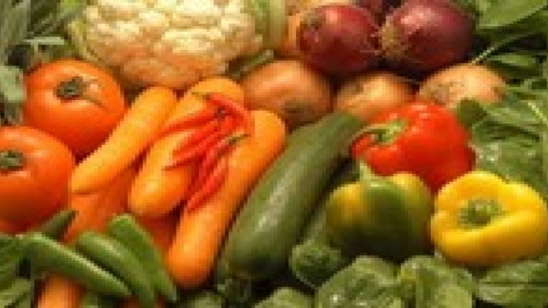 888 الف طن صادرات الاردن من الخضار والفاكهة العام الماضي