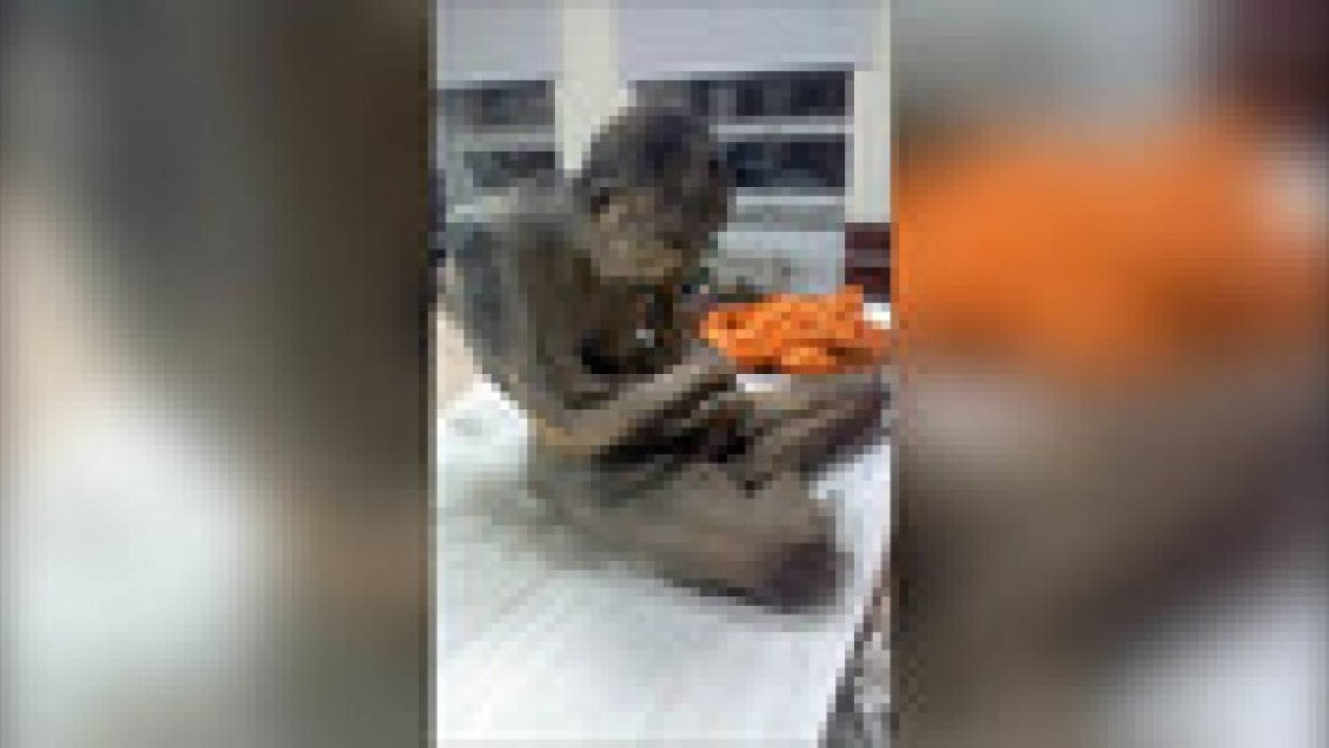 العثور على مومياء عمرها 200 عام في وضعية تأمل روحي