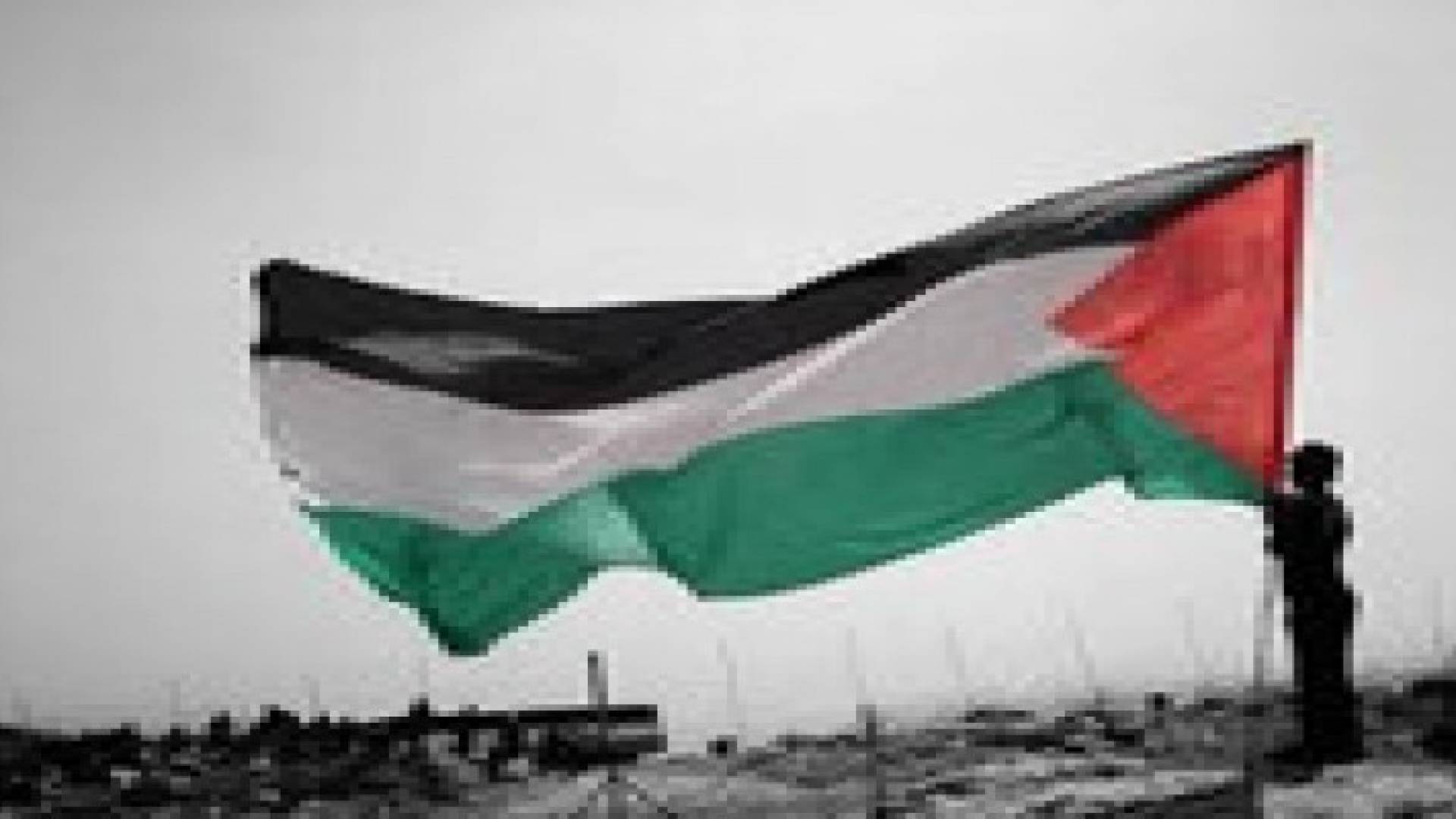 برلمان بلجيكا يدعو للاعتراف بدولة فلسطينية