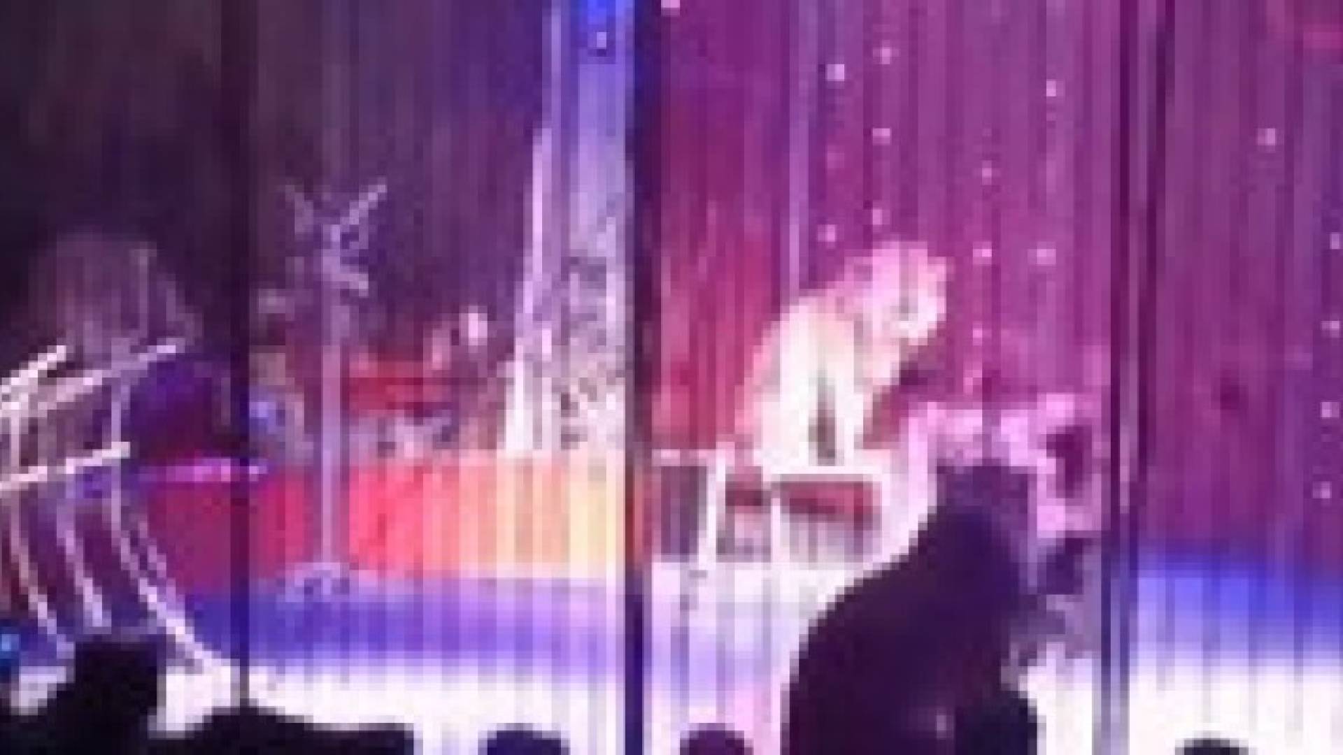 بالفيديو.. أسد كاد يقتل مدربته على أنغام "بشرة خير"