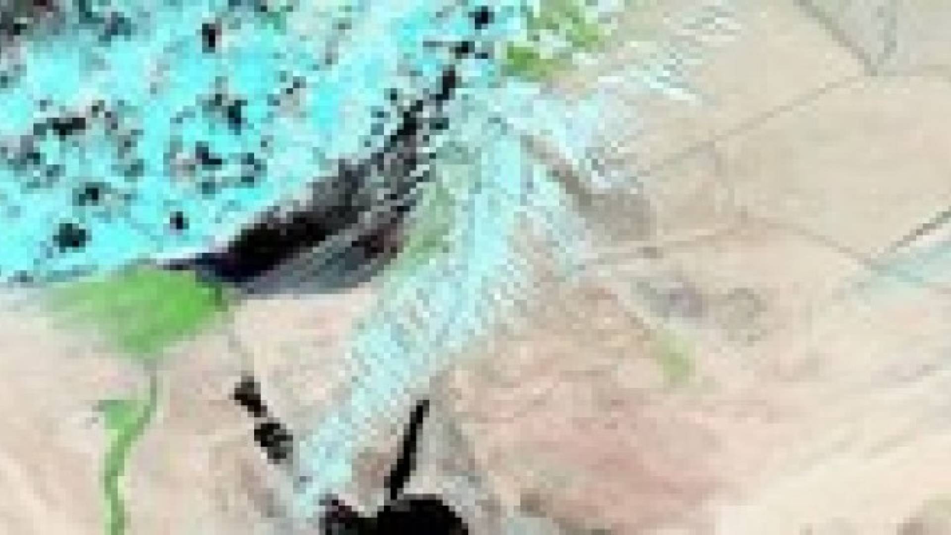 منخفض جوي عميق يقترب من المملكة يوم الثلاثاء
