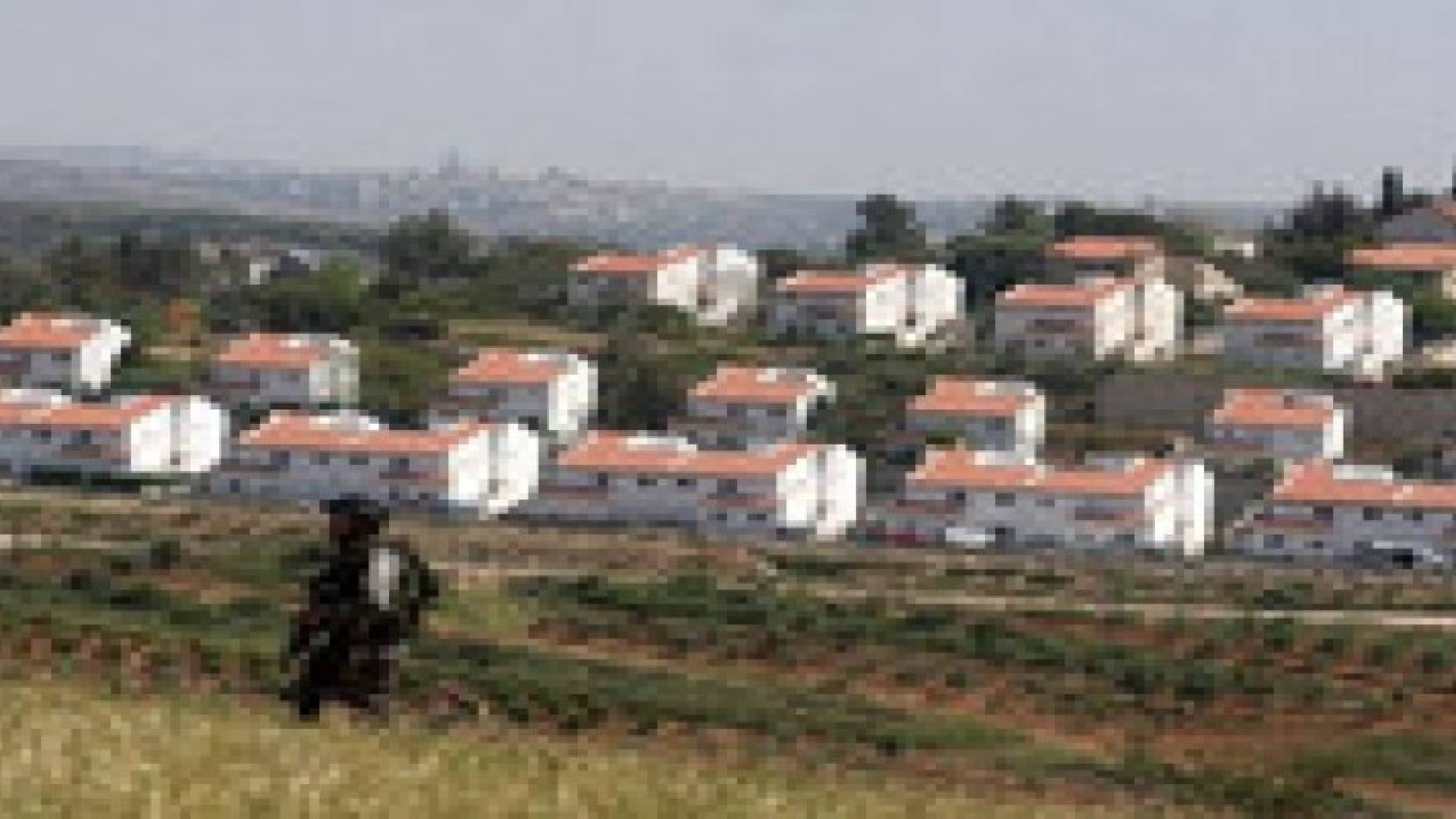 سلطات الاحتلال تستولي على 3740 دونما لتوسيع اربع مستوطنات