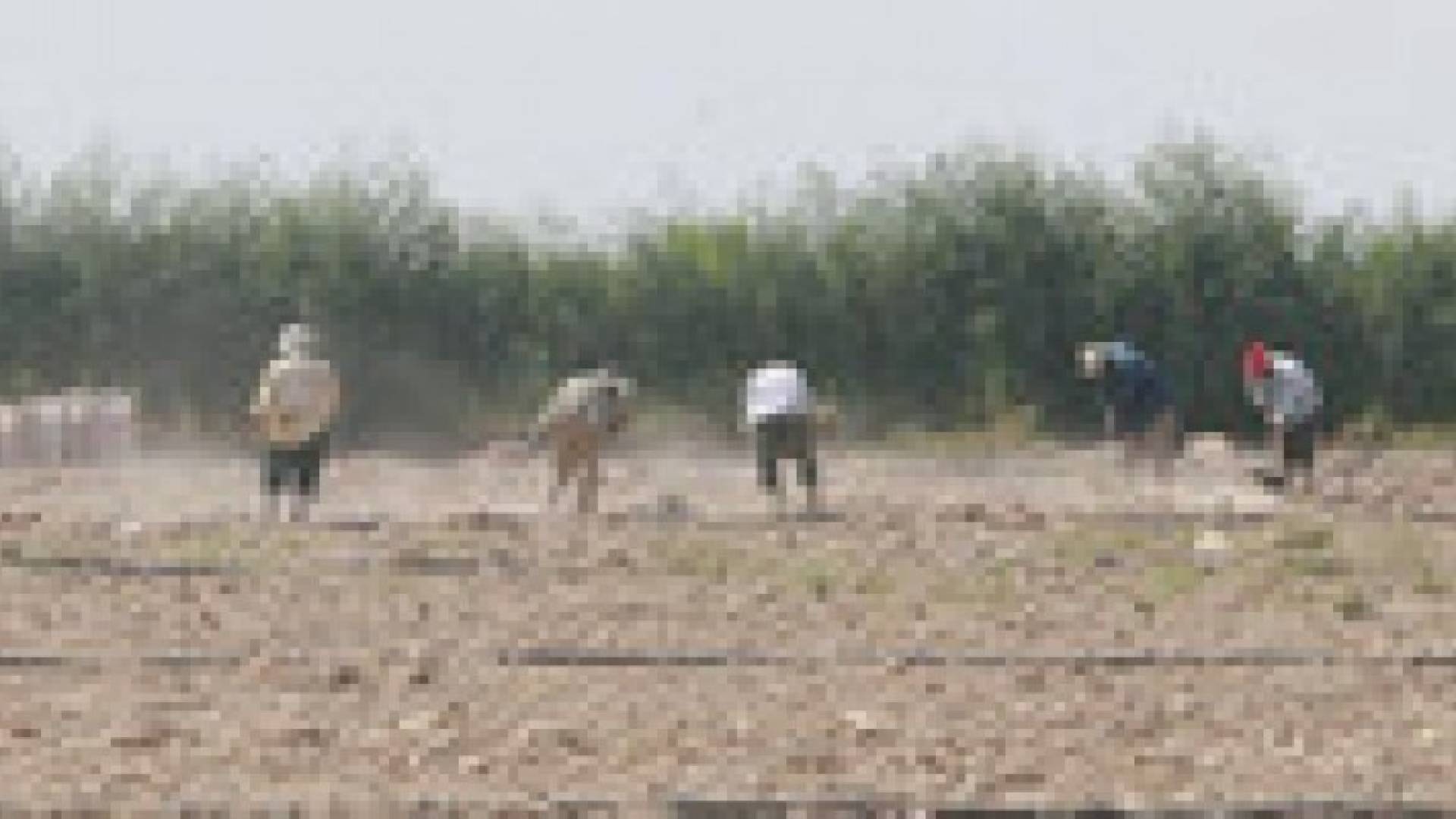 مديرية زراعة الاغوار تدعو المزارعين لإتخاذ احتياطاتهم لمواجهة المنخفض