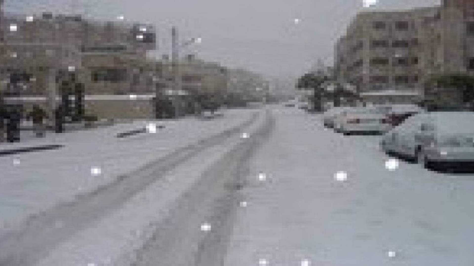 وزارة التربية تفوض مدراء المناطق في تعطيل المدارس