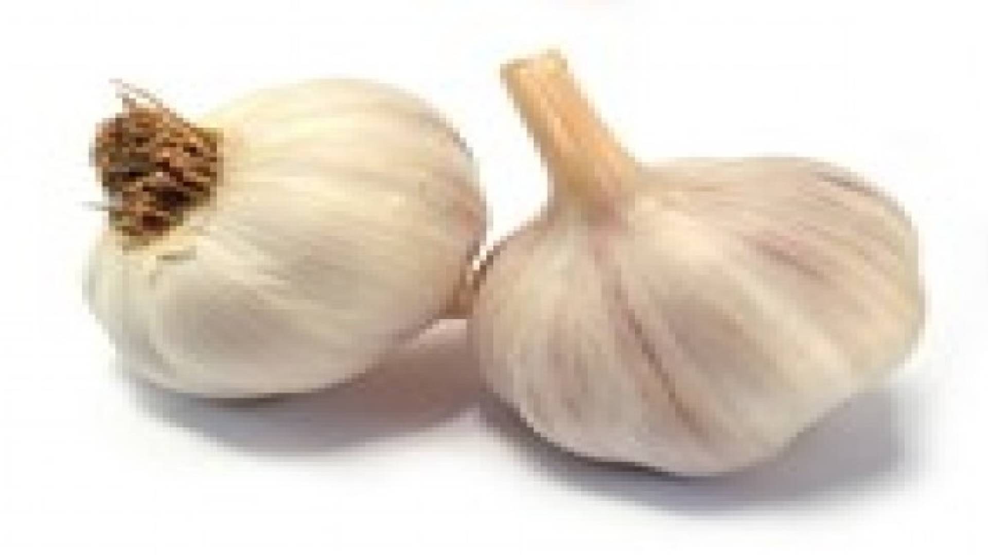 الثوم يقاوم بكتيريا التسمم الغذائي