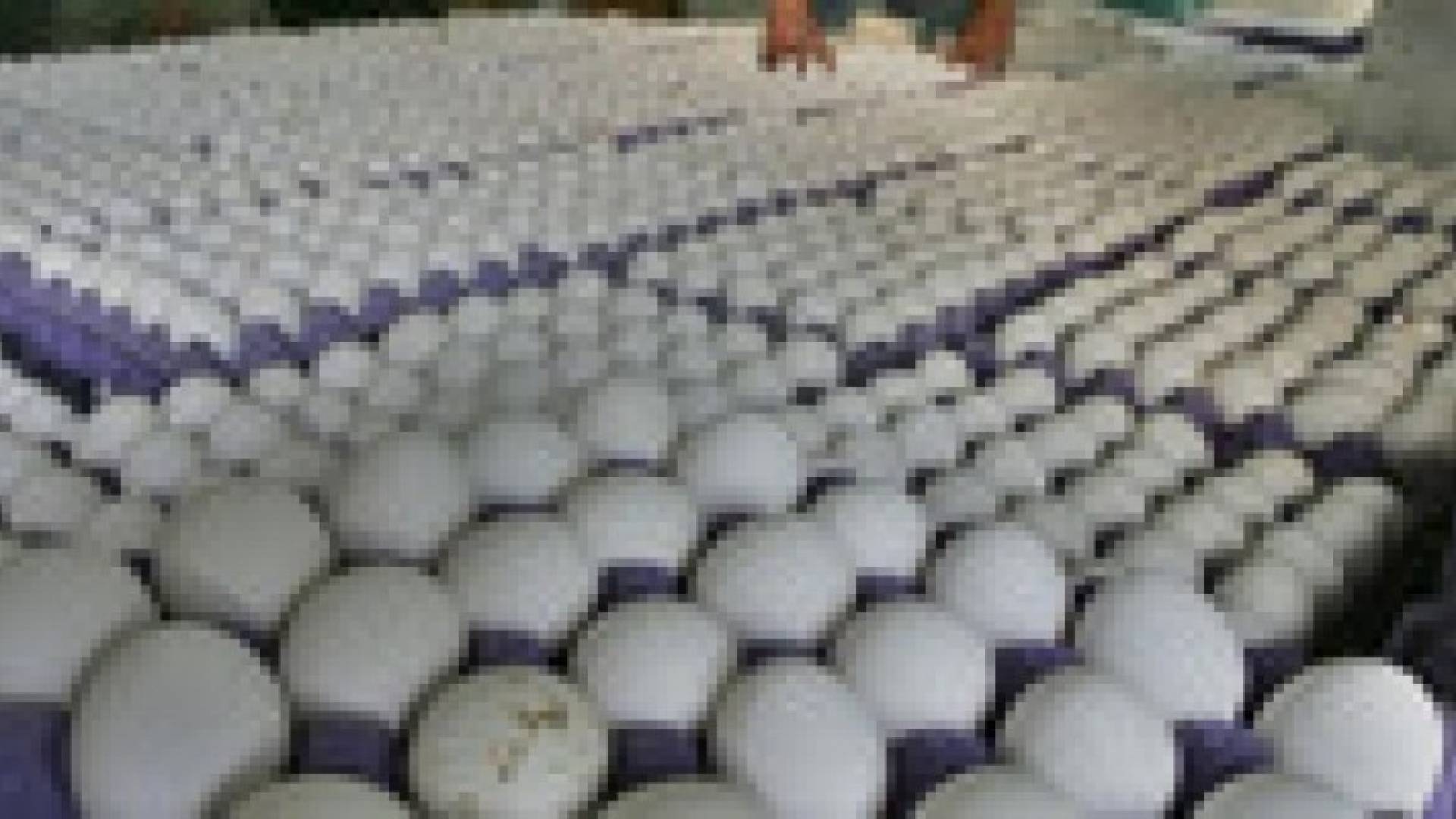 إرتفاع أسعار بيض المائدة 30%