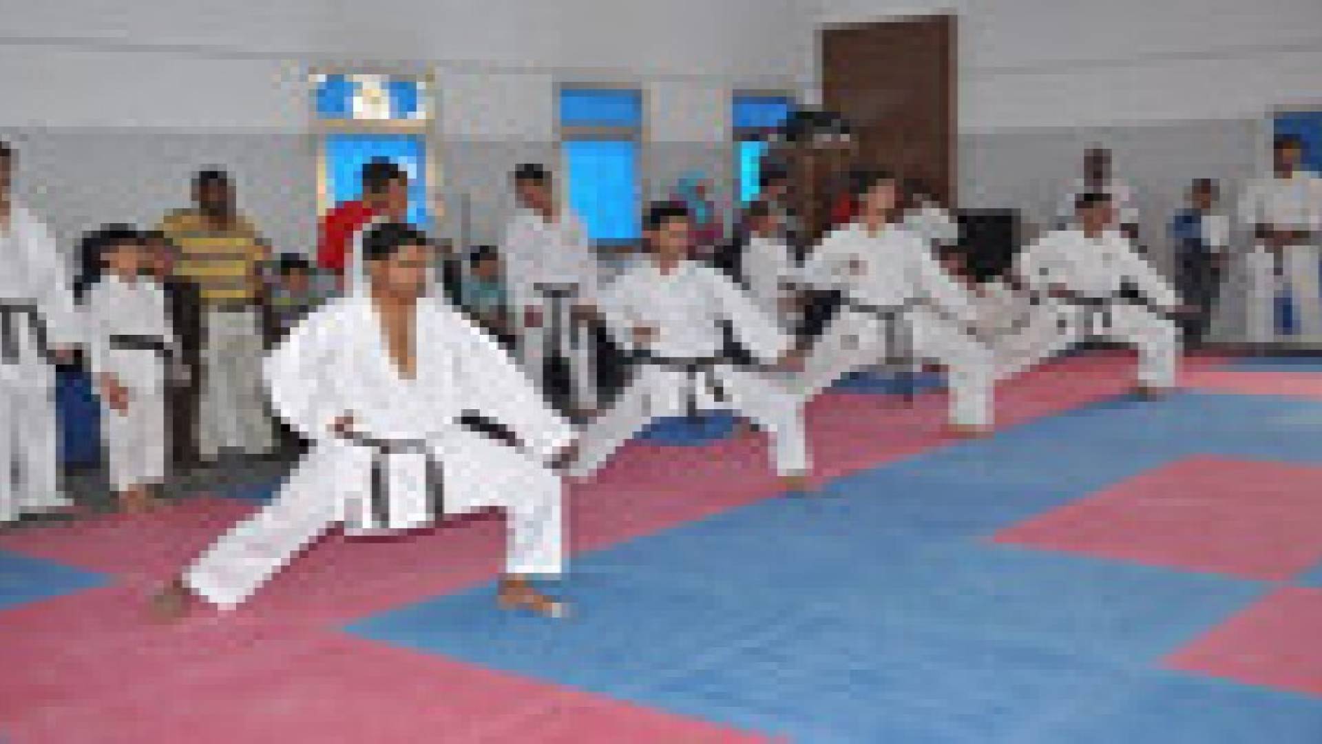 اتحاد الكراتية يقرر المشاركة في بطولة البريميرليغ بشرم الشيخ