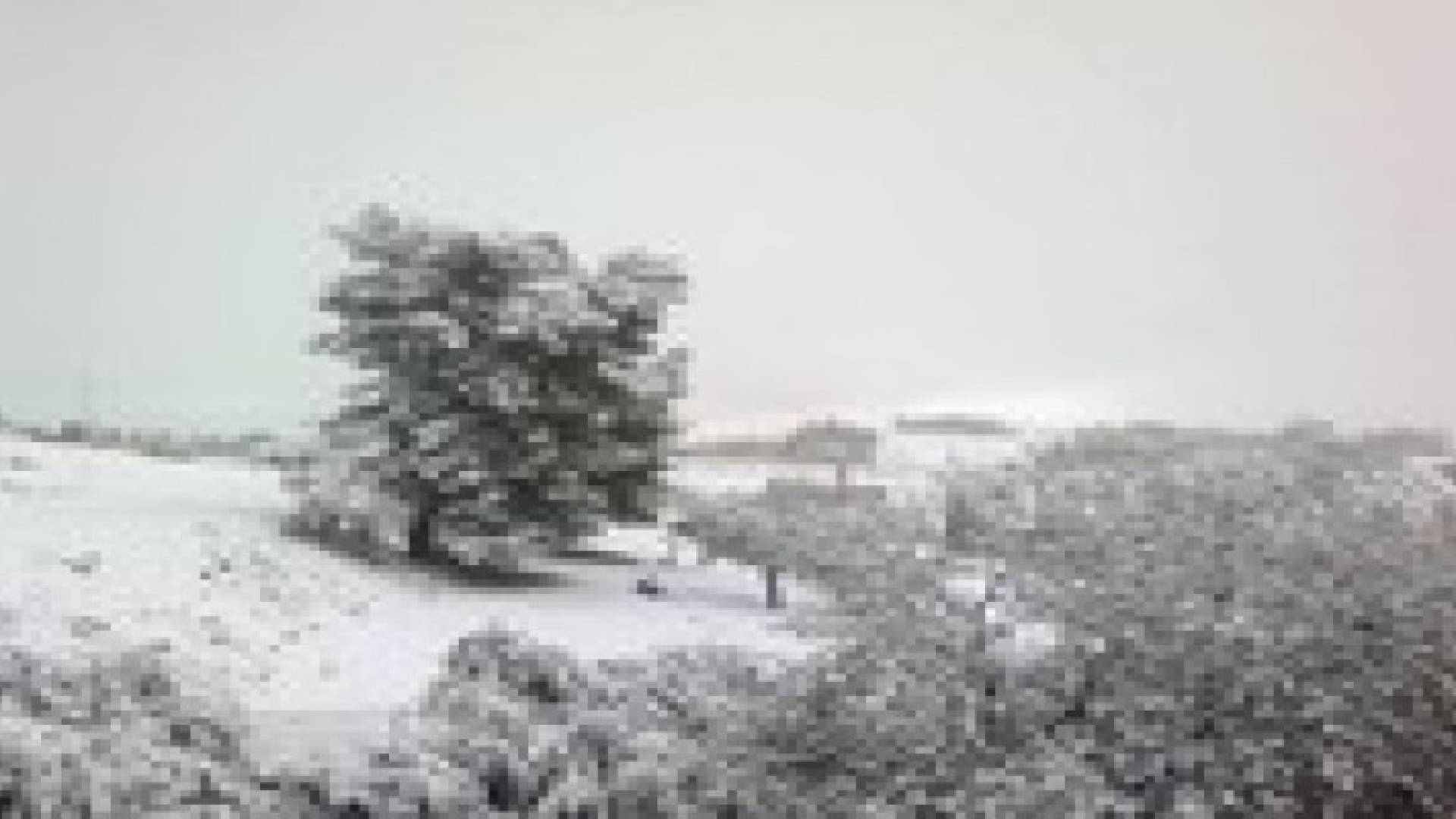 تقرير رقم "1" حول العاصفة الثلجية المتوقعة نهاية الأسبوع