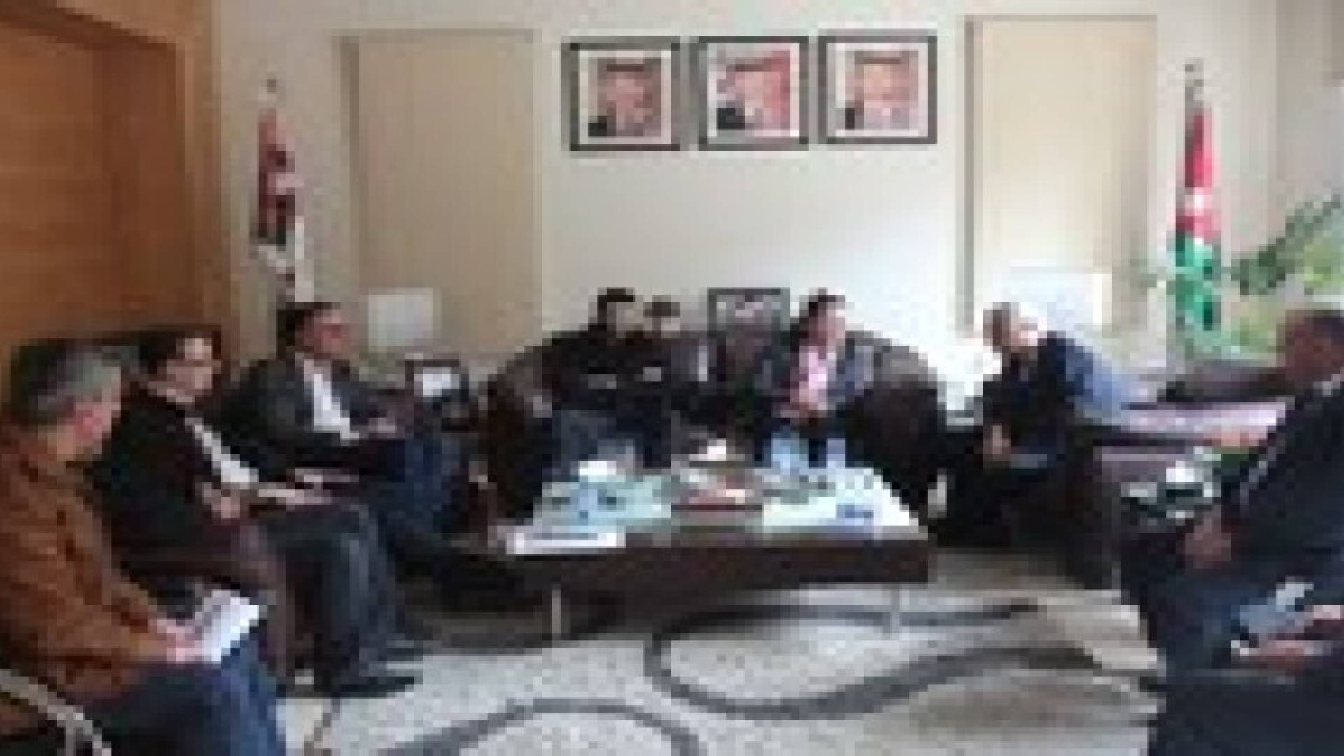 الاميرة سناء عاصم و امين عمان يبحثان اوجه التعاون في مجال الطاقة المتجددة