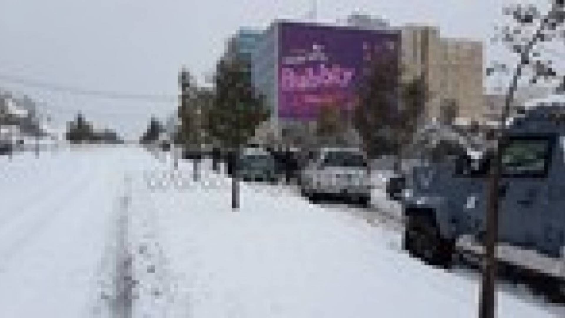 بالصور والفيديو : سيارات عالقة في شارع الملكة رانيا - الجامعة - في عمان